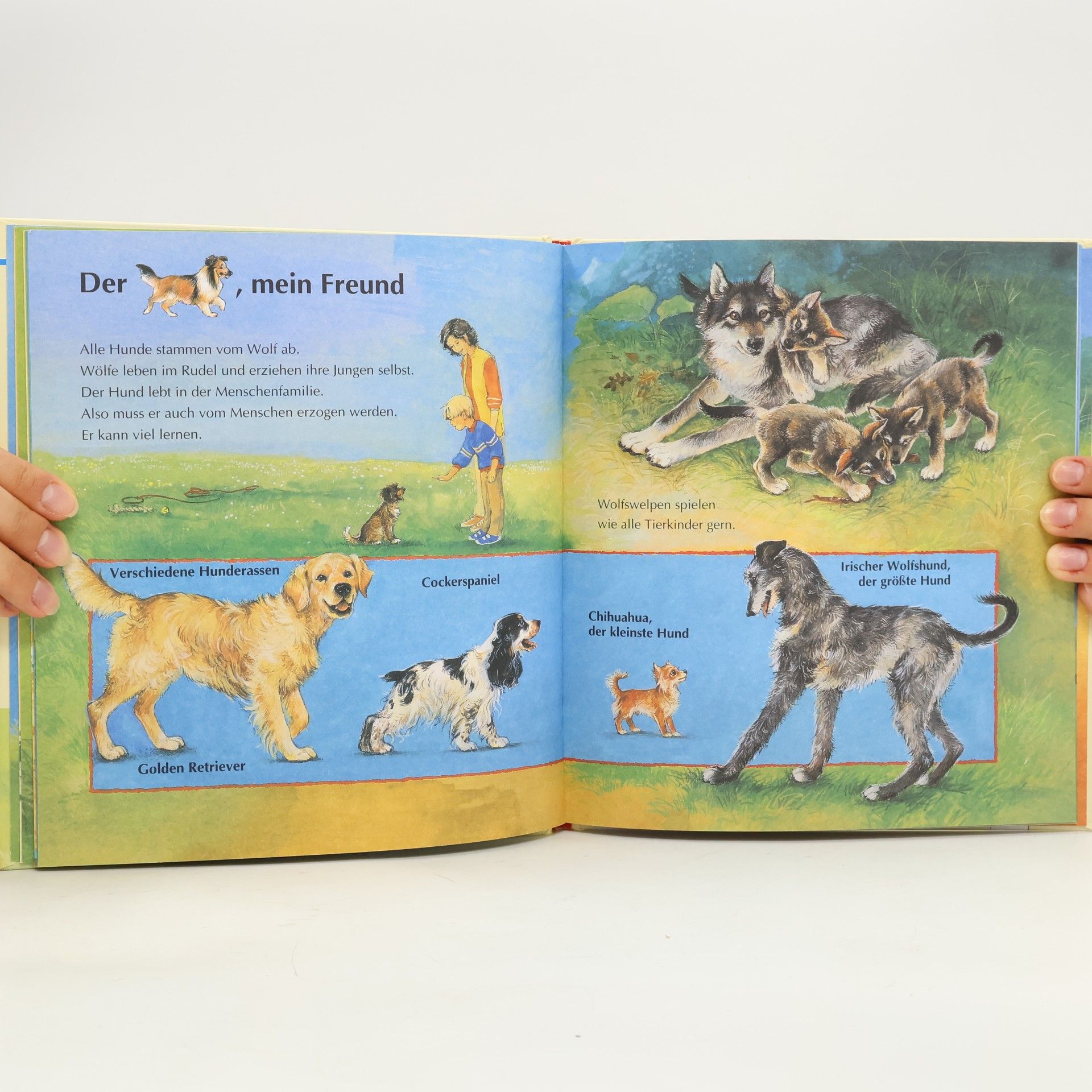 Ilka Sokolowski Hamster, Katze, Hund und Co.