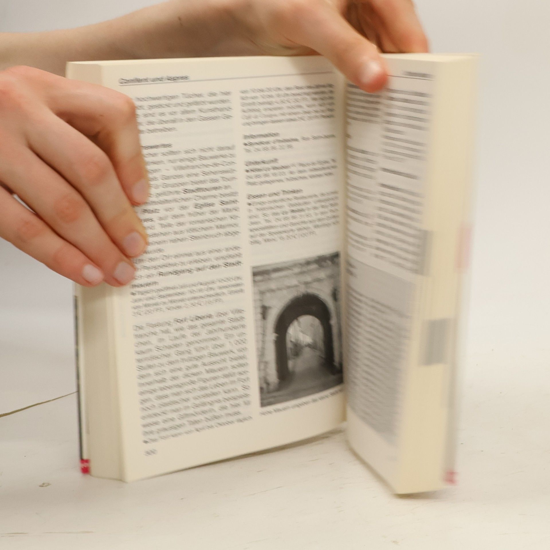 Michael Schuh Pyrenäen-Handbuch