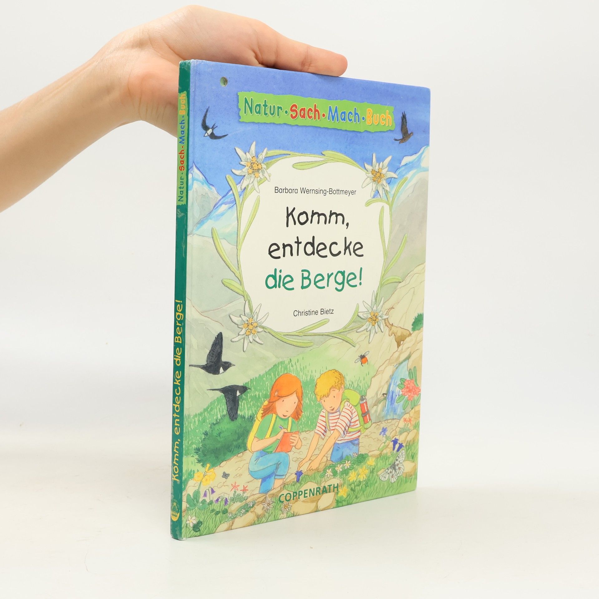 Barbara Wernsing Bottmeyer Komm, entdecke die Berge!