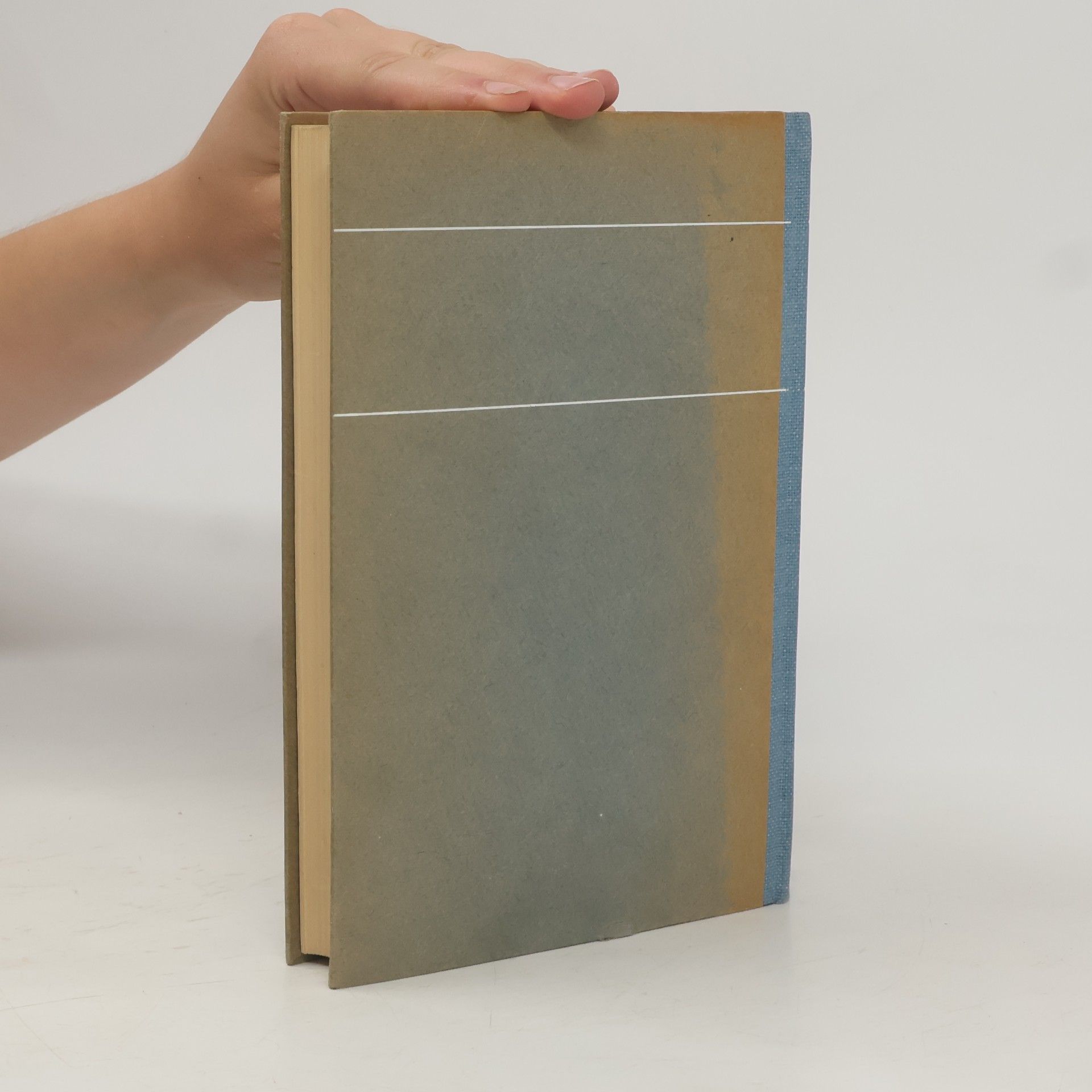 Autorenkollektiv Basler Jahrbuch 1928