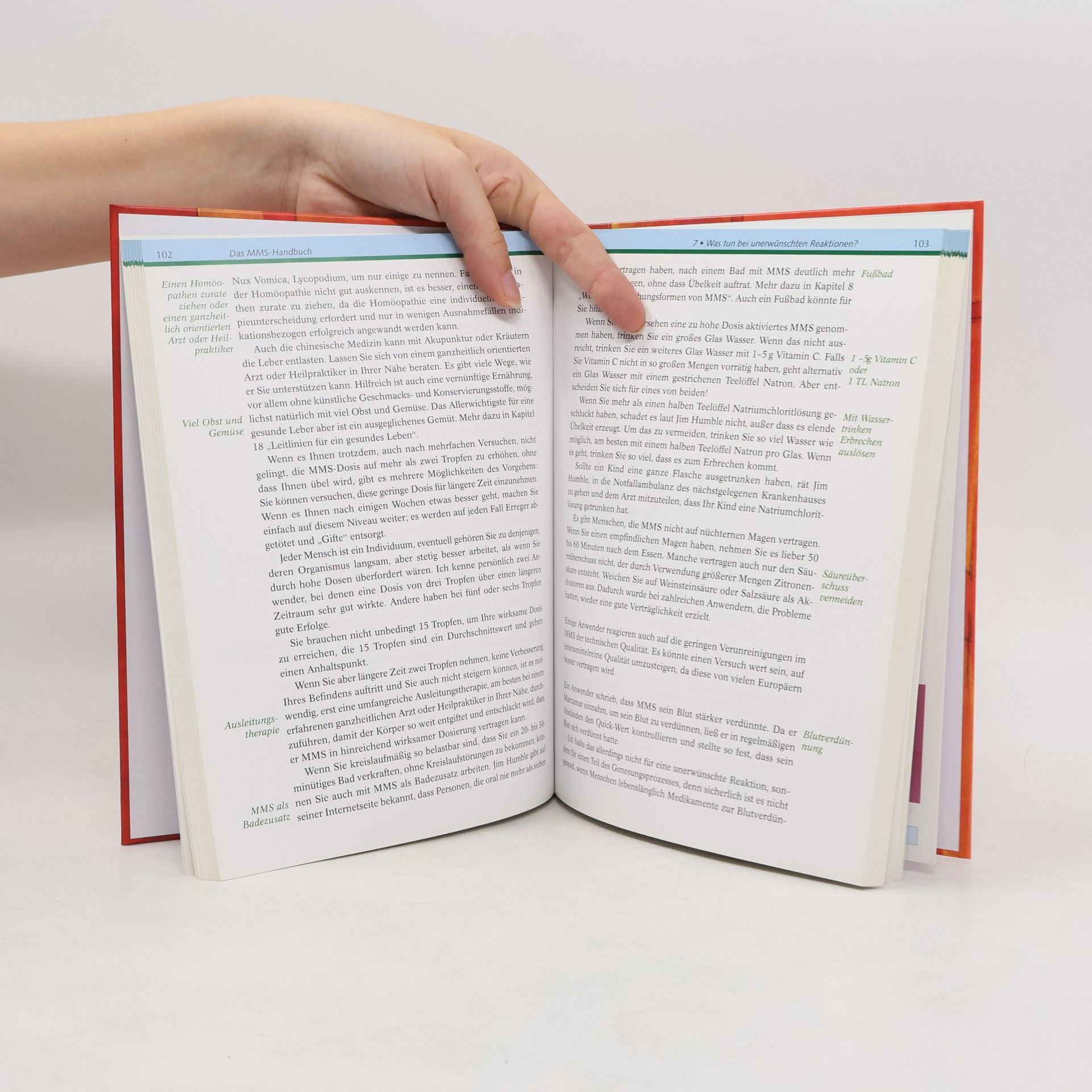 Antje Oswald Das MMS-Handbuch