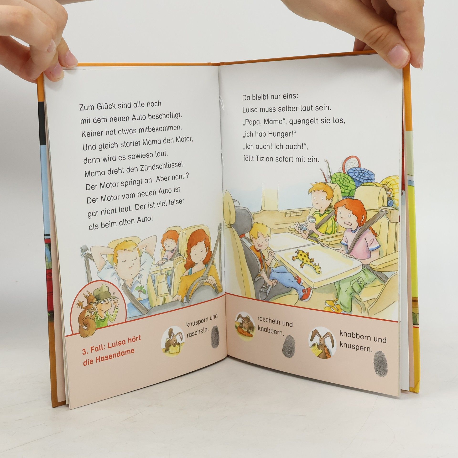 Luise Holthausen Ein blinder Passagier
