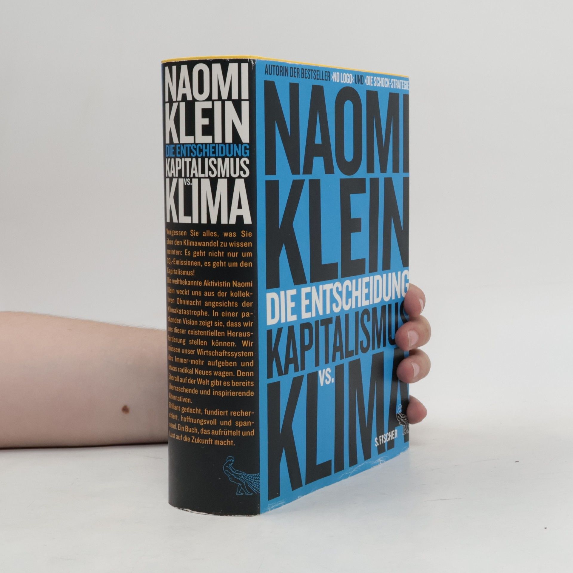 Naomi Klein Die Entscheidung