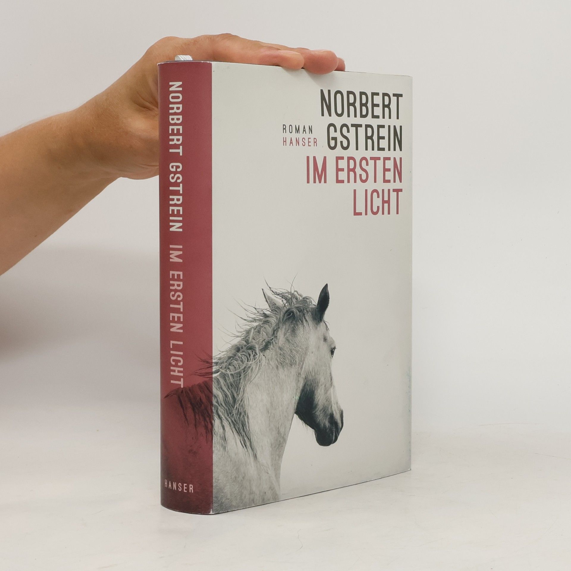 Norbert Gstrein Im ersten Licht