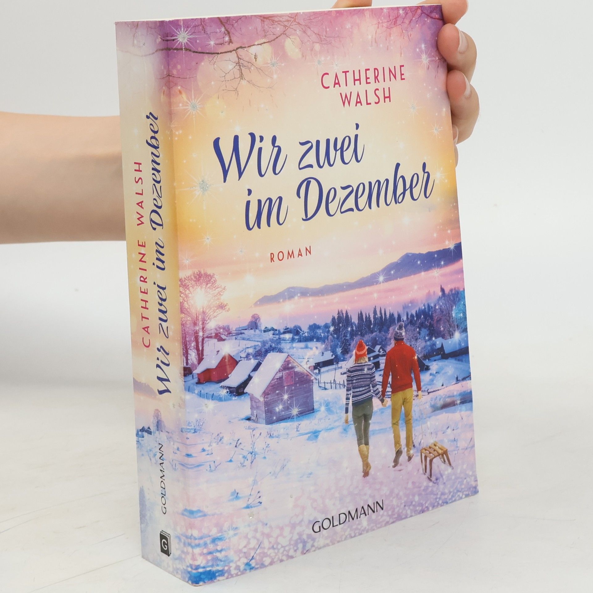 Catherine Walsh Wir zwei im Dezember. Roman