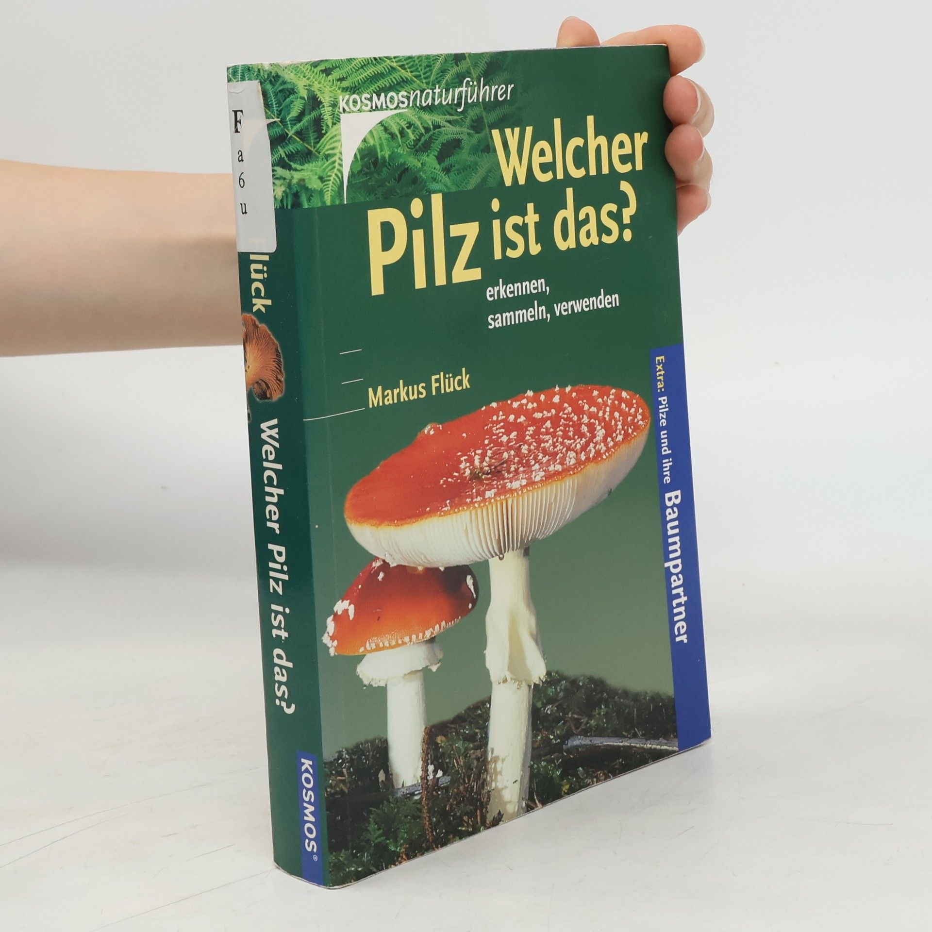 Markus Flück Welcher Pilz ist das?