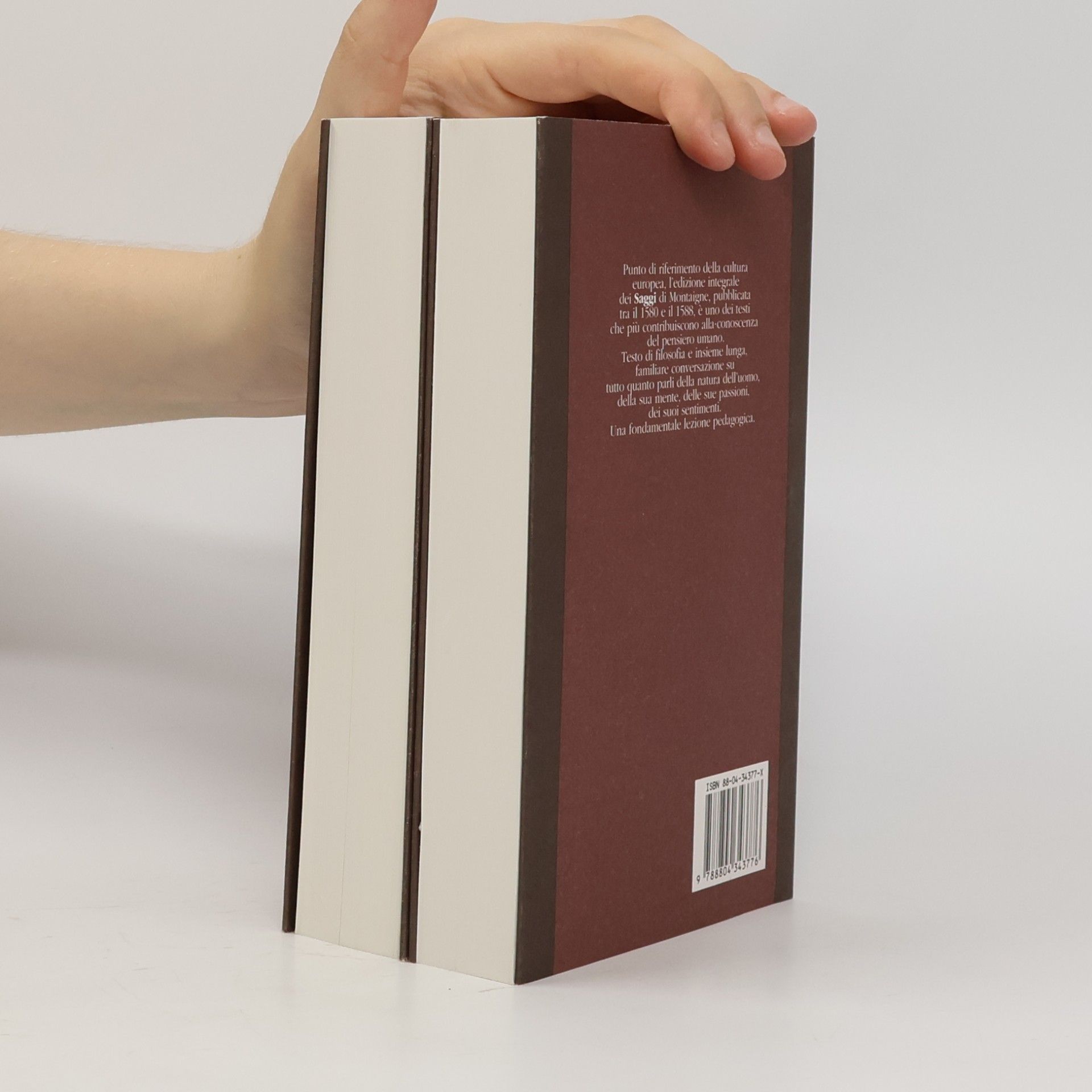 Montaigne Saggi volume secondo