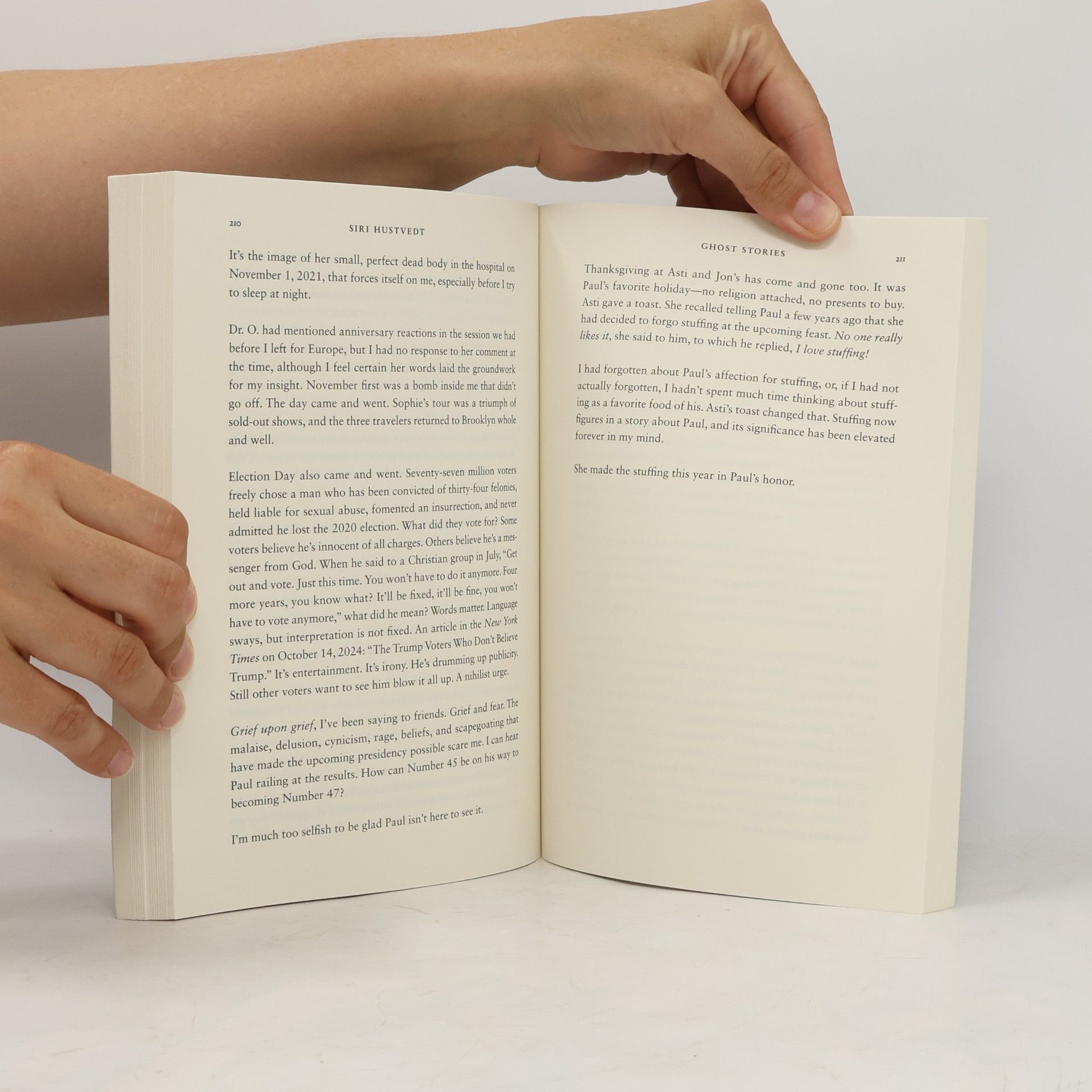 Siri Hustvedt Ghost Stories