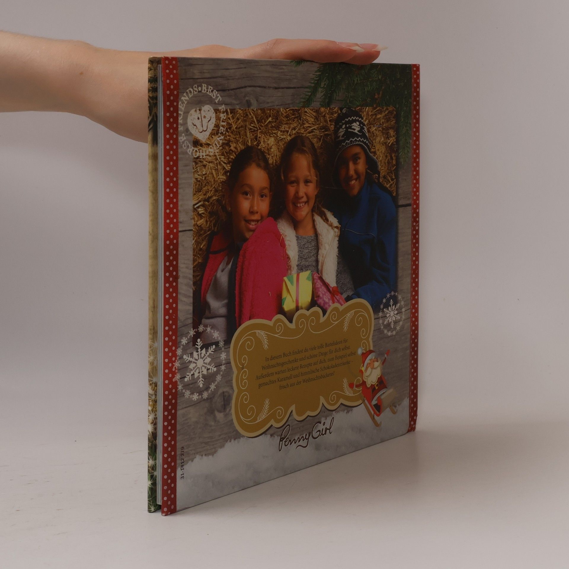 Magnus Malmberg Weihnachts-Bastelbuch