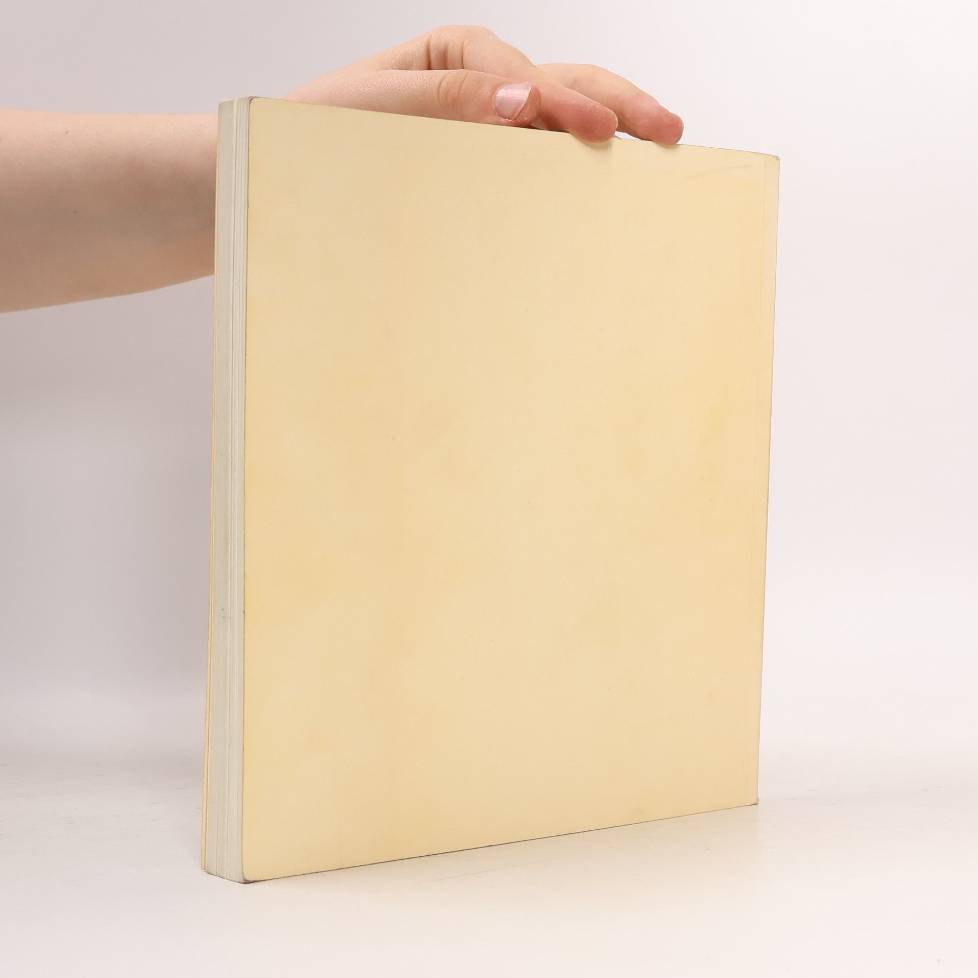 Collectif d'auteurs Bayerns Kirche im Mittelalter, Handschriften und Urkunden