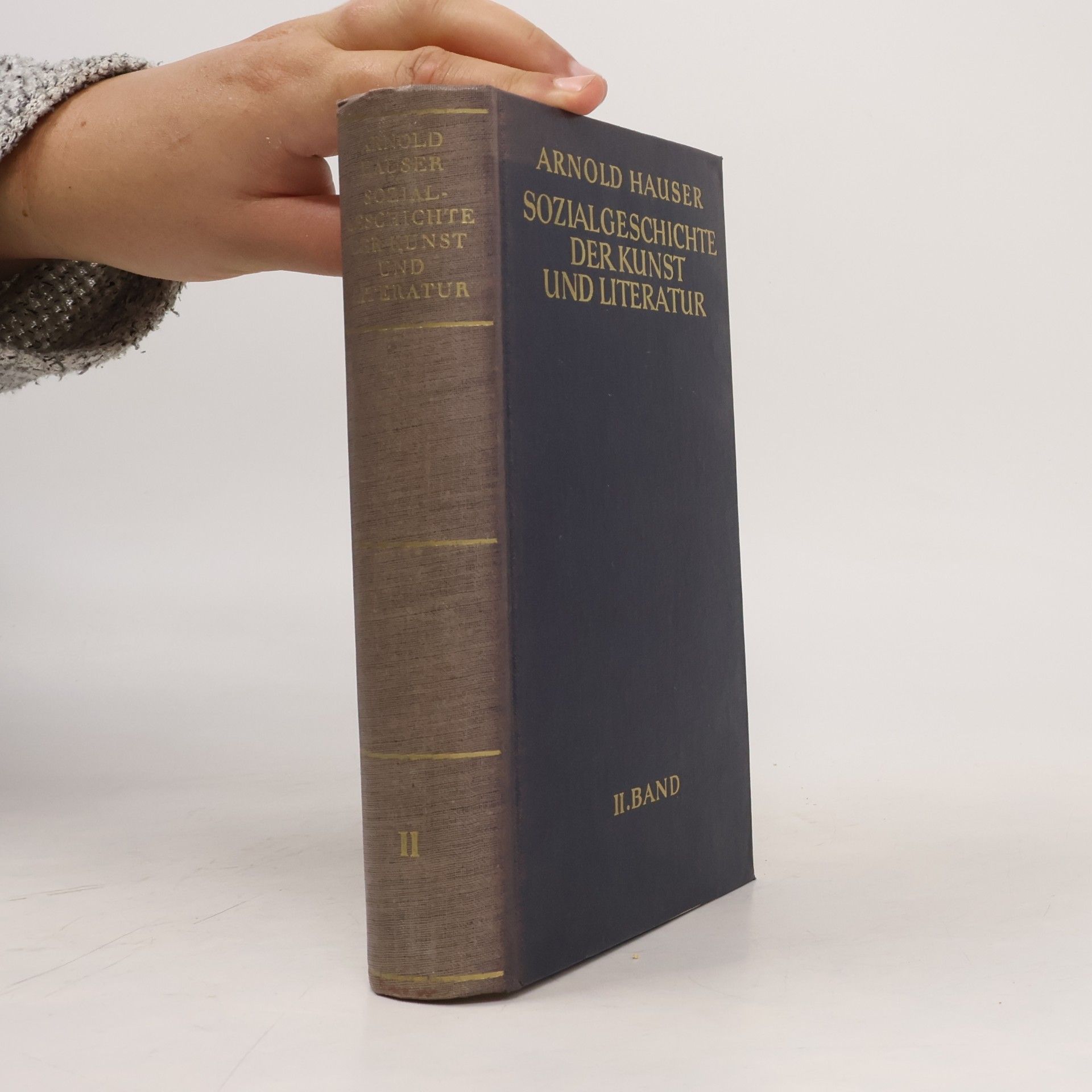 Arnold Hauser Sozialgeschichte der Kunst und Literatur