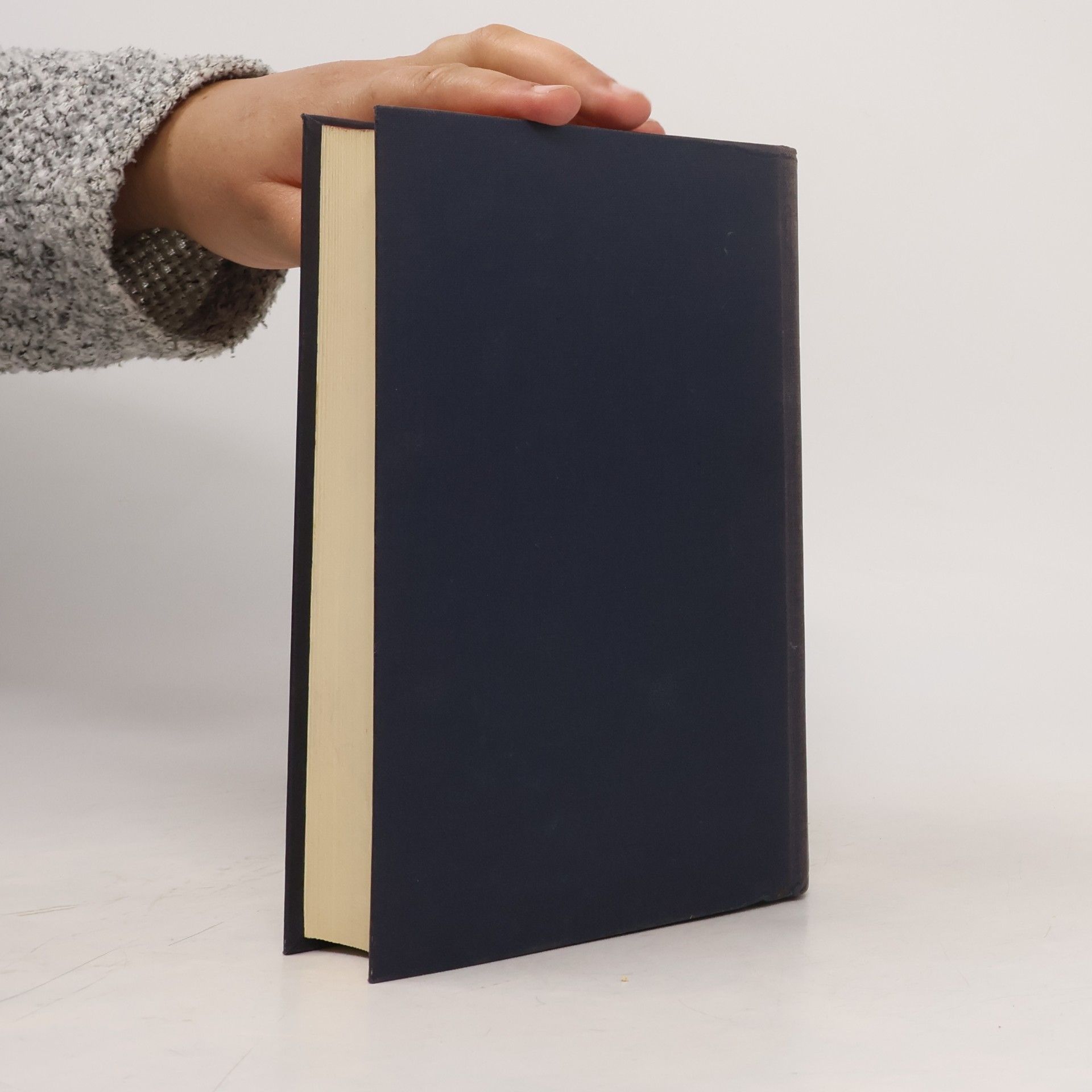 Arnold Hauser Sozialgeschichte der Kunst und Literatur
