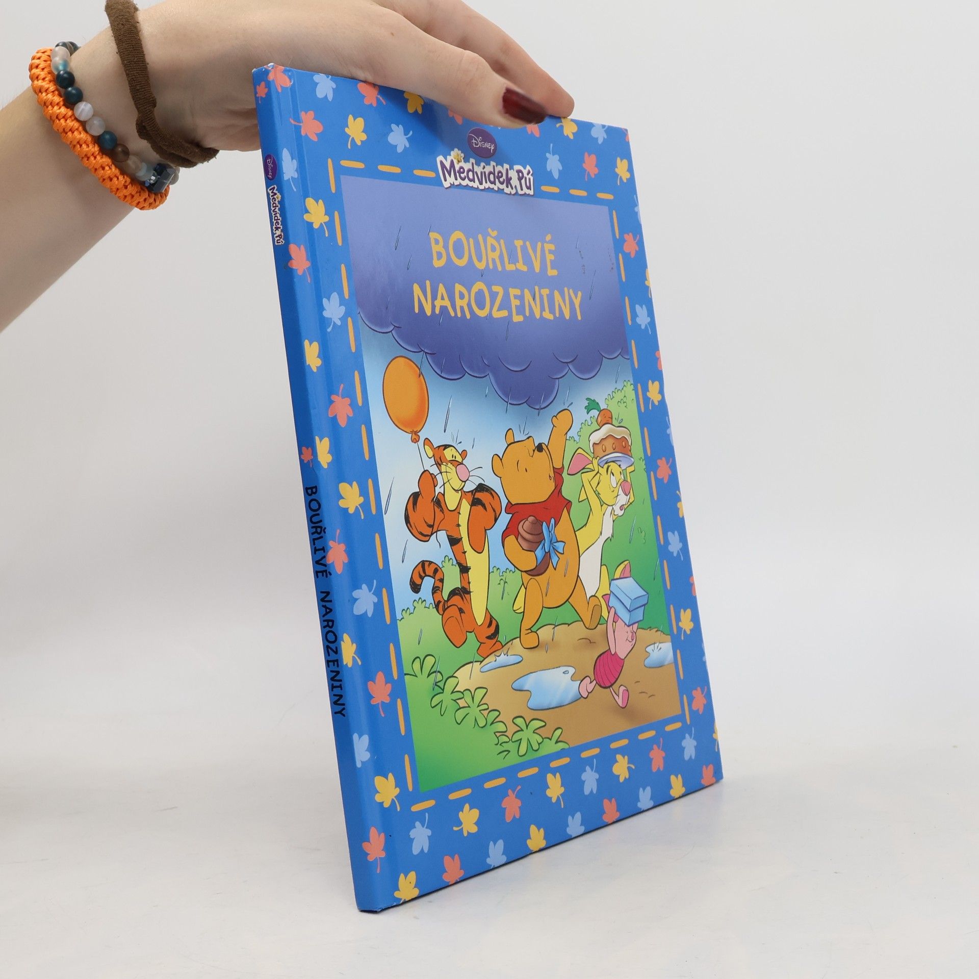 Walt Disney Medvídek Pú - Bouřlivé narozeniny