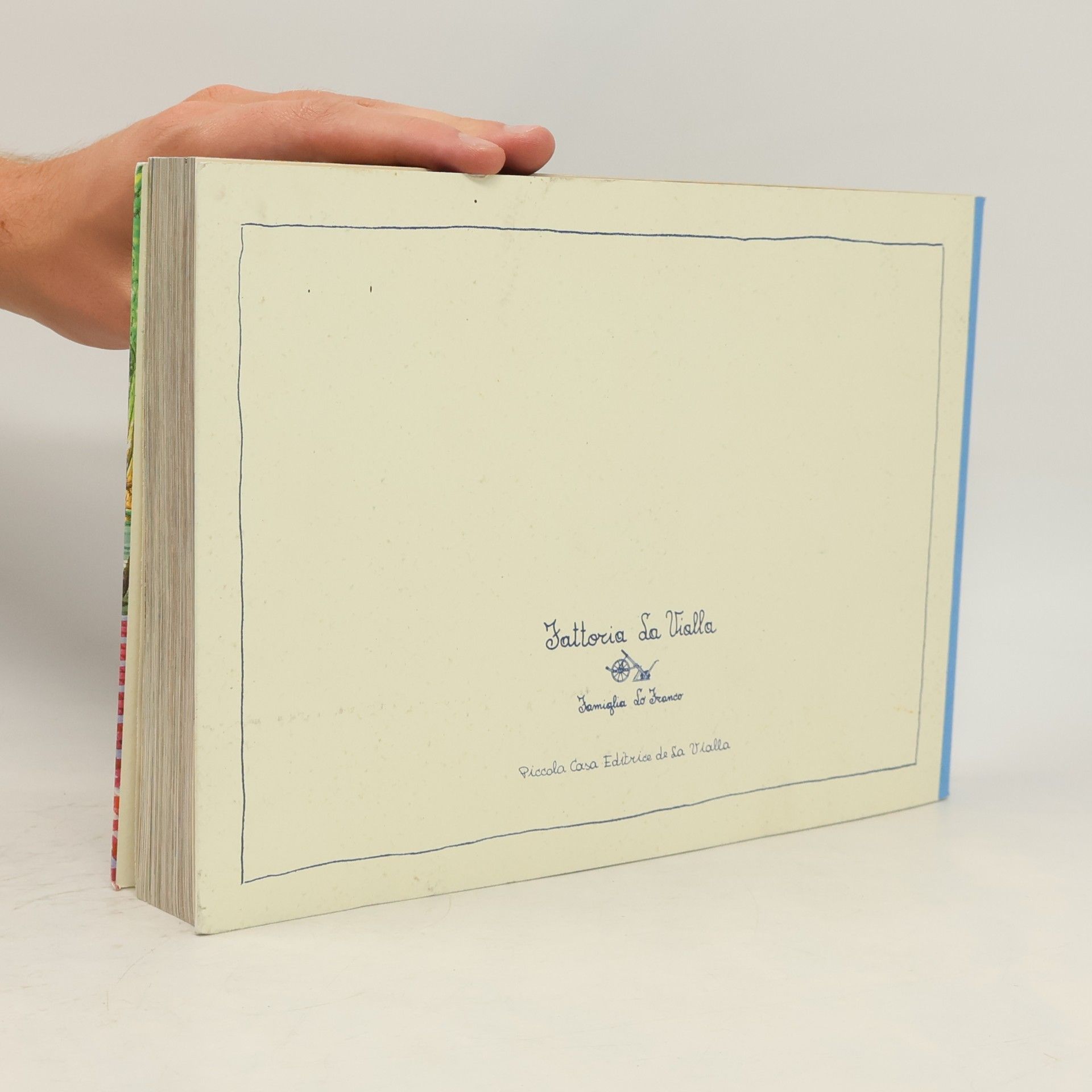 Autorenkollektiv Le Ricette delle Cuoche di La Vialla