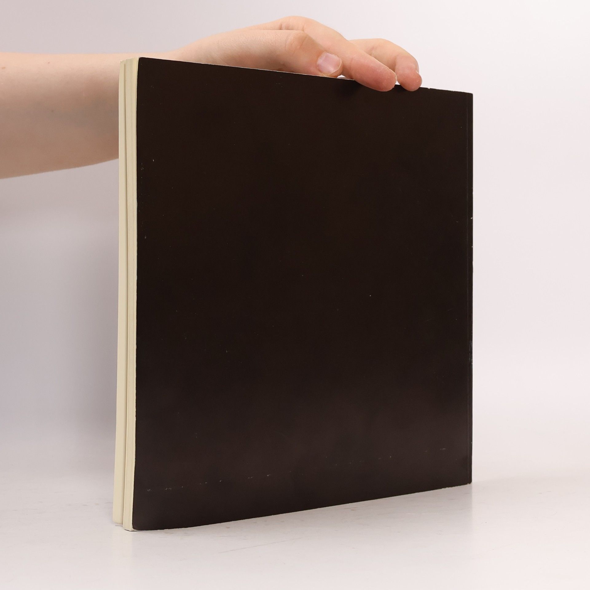 Collectif d'auteurs Luzerner Ikonensammlung