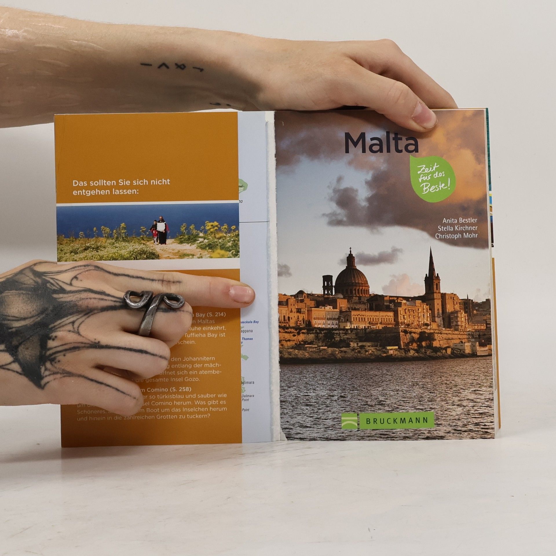 Anita Bestler Malta