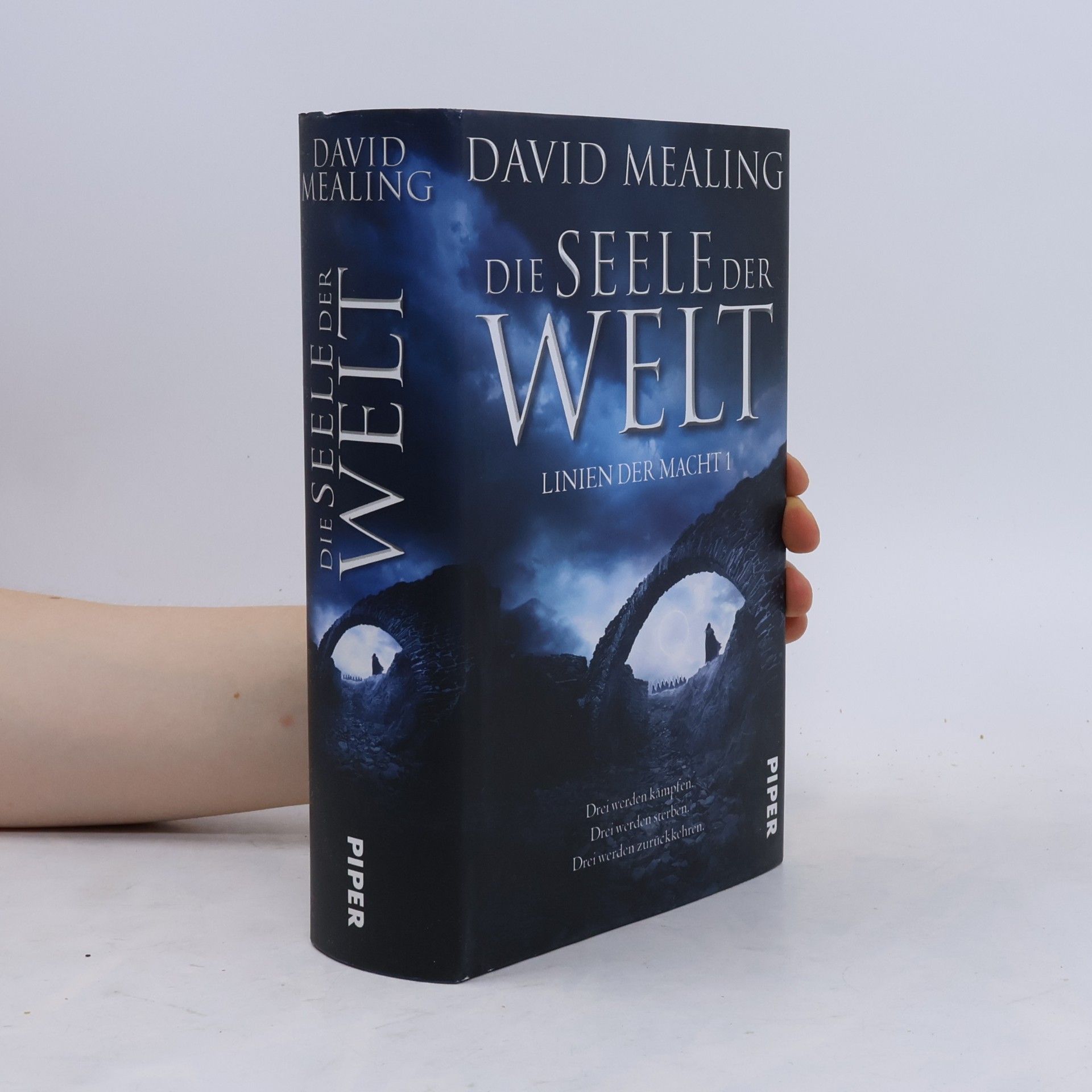David Mealing Die Seele der Welt