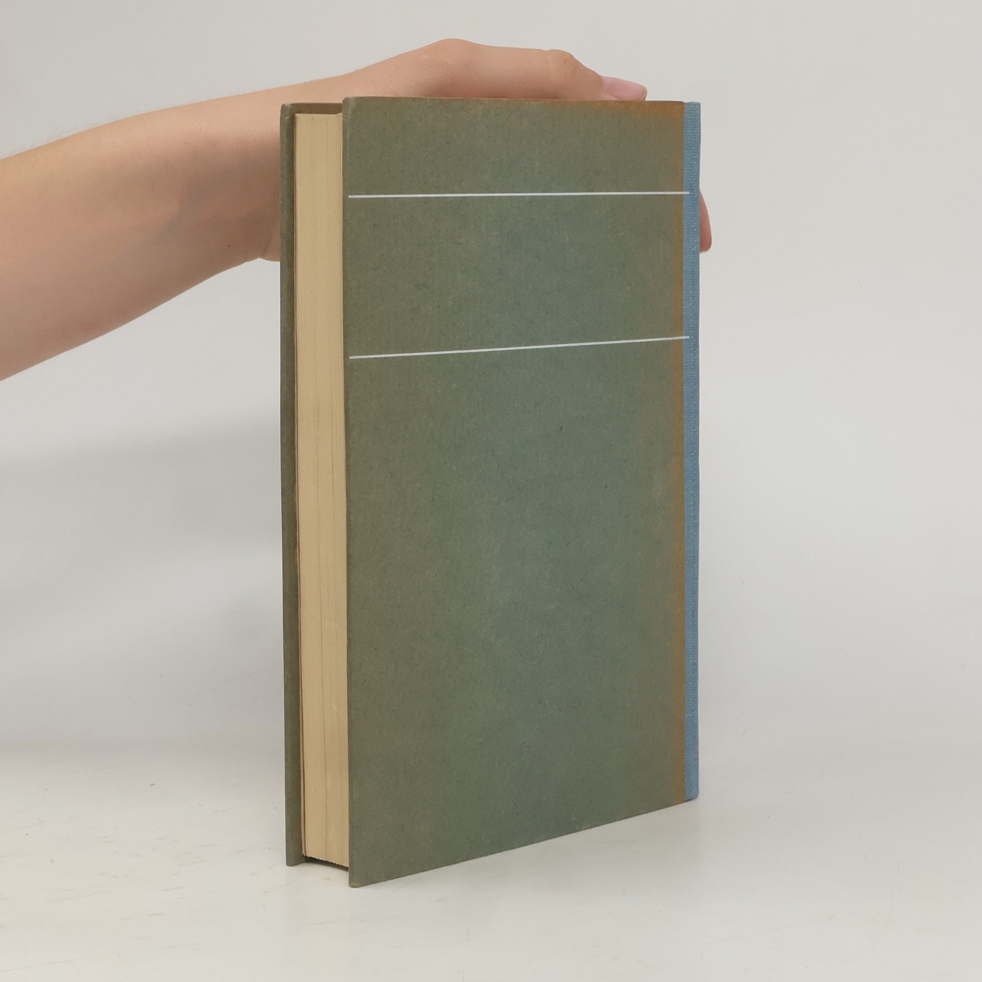 Autorenkollektiv Basler Jahrbuch 1923