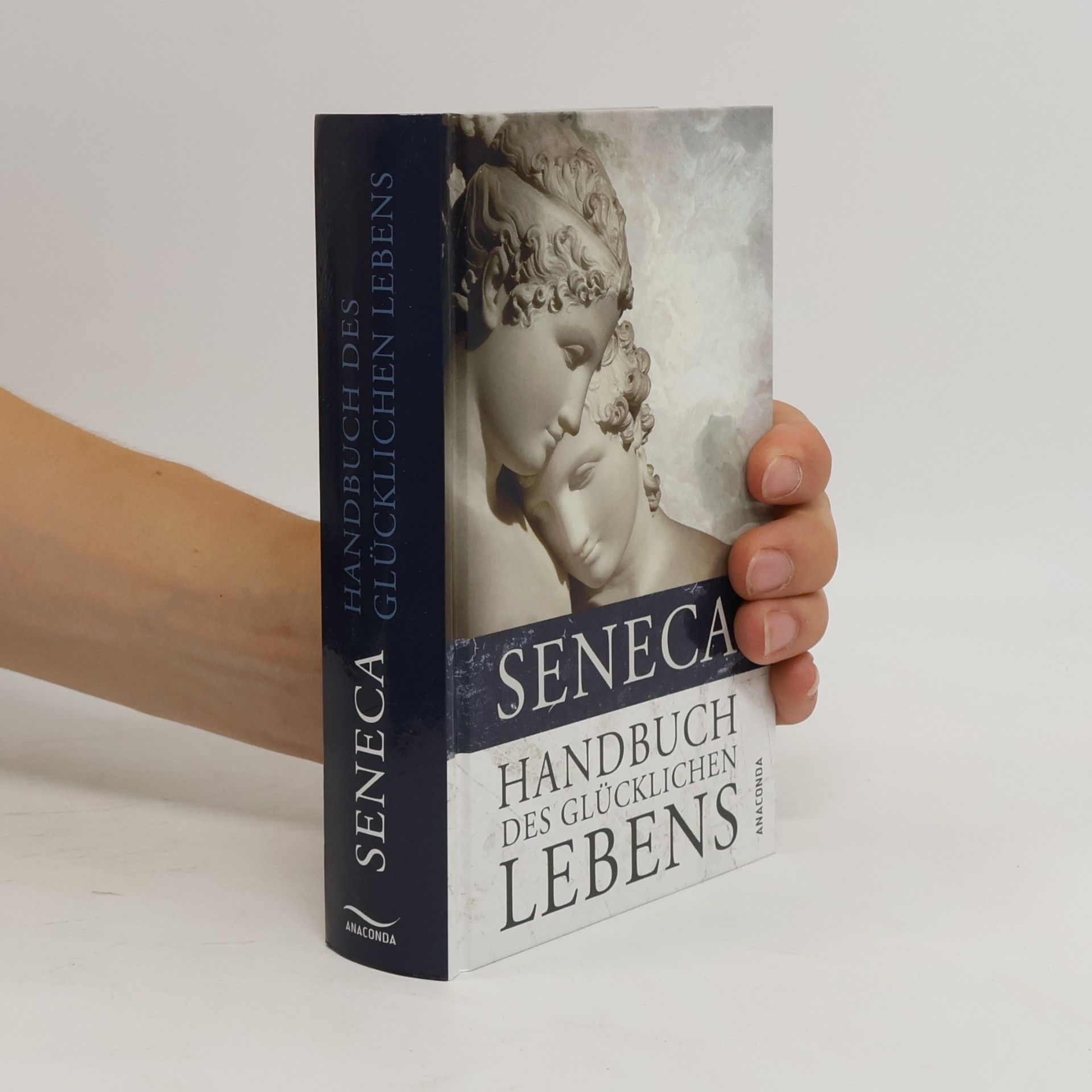 Lucius Annaeus Seneca Handbuch des glücklichen Lebens