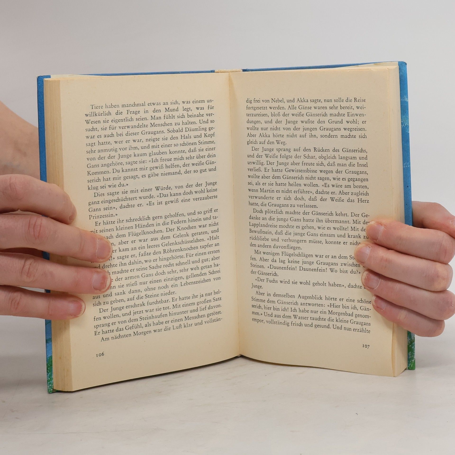 Selma Lagerlöf Nils Holgerssons schönste Abenteuer mit den Wildgänsen