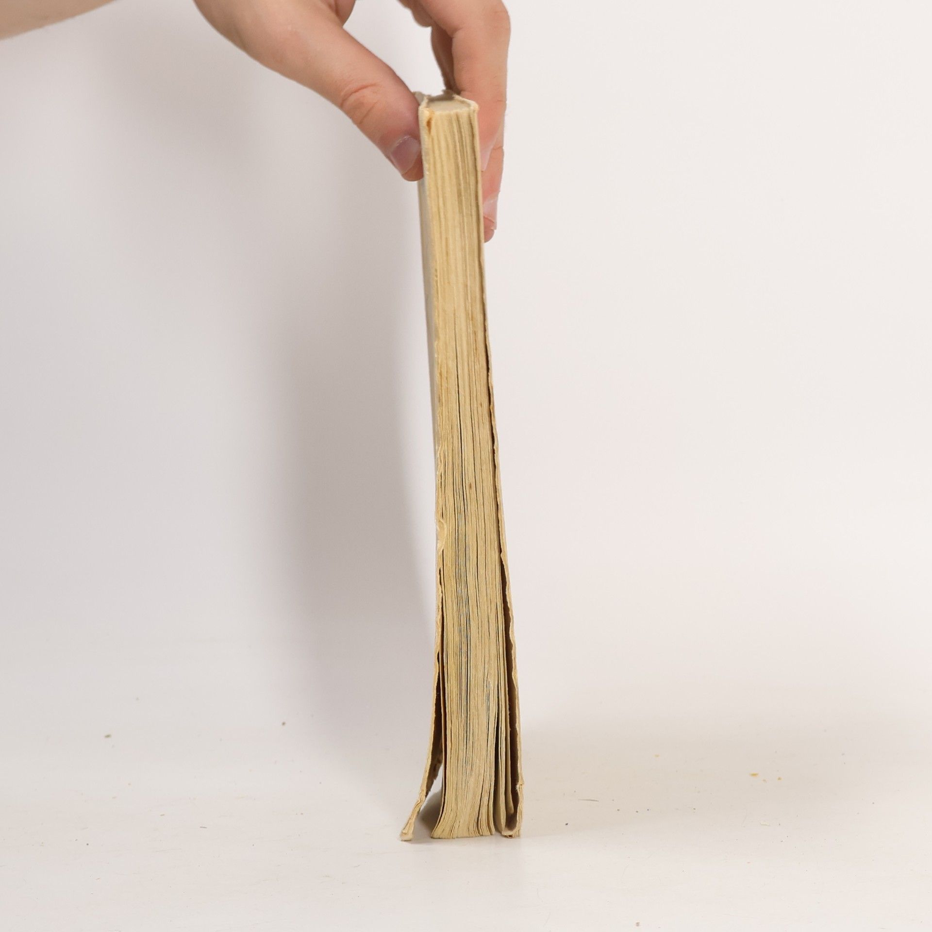 Otakar Haering Petříčkův svět