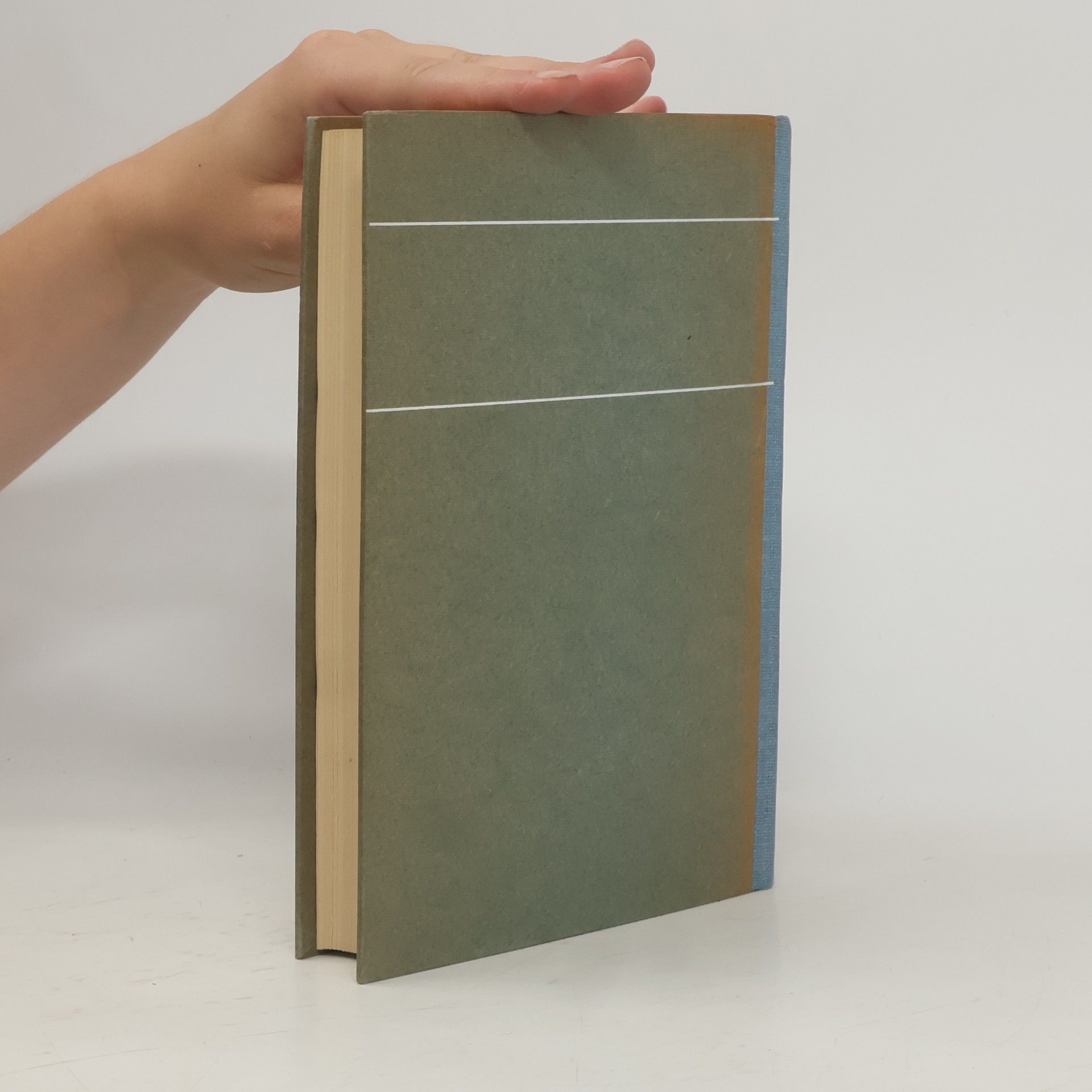 Autorenkollektiv Basler Jahrbuch 1924