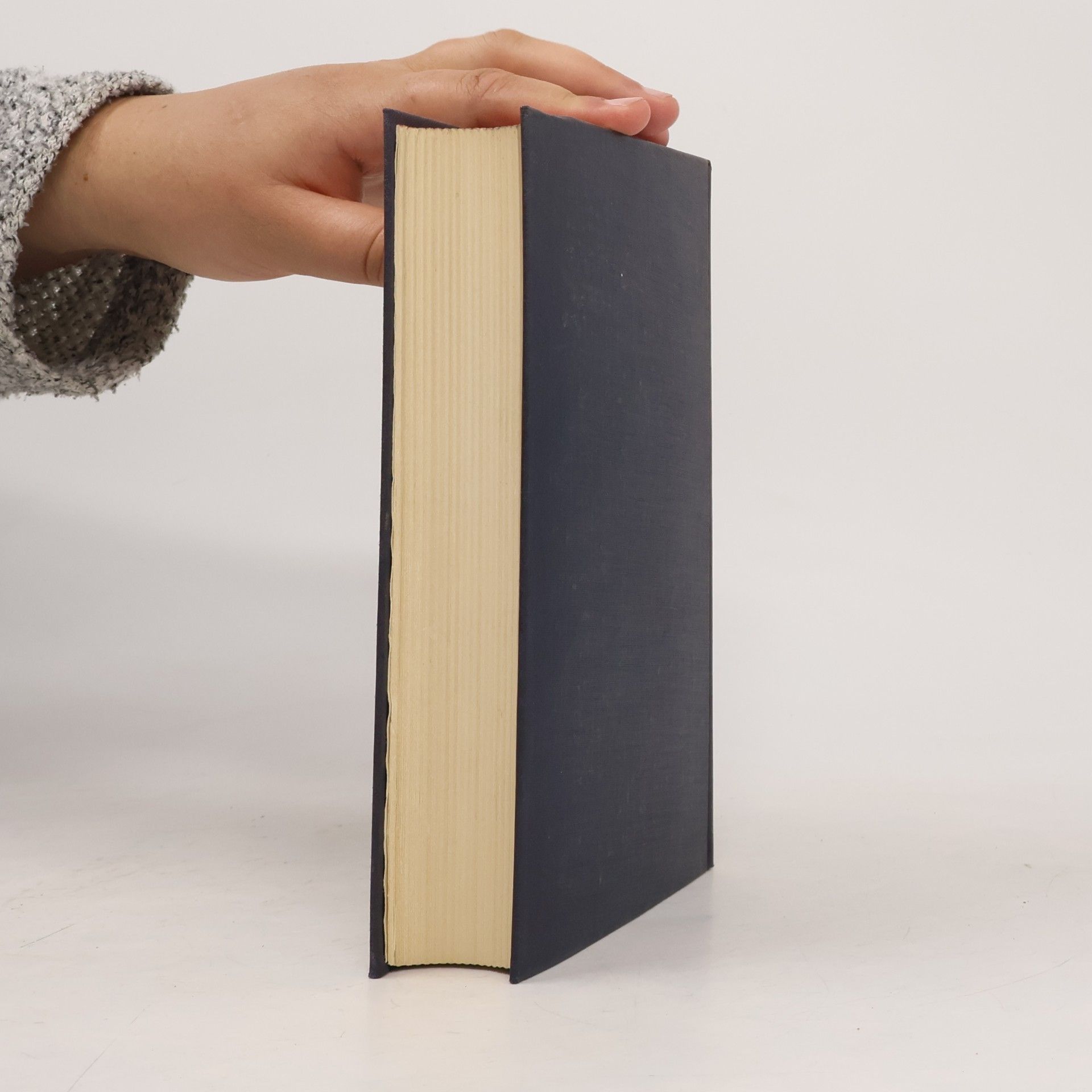 Arnold Hauser Sozialgeschichte der Kunst und Literatur 1.