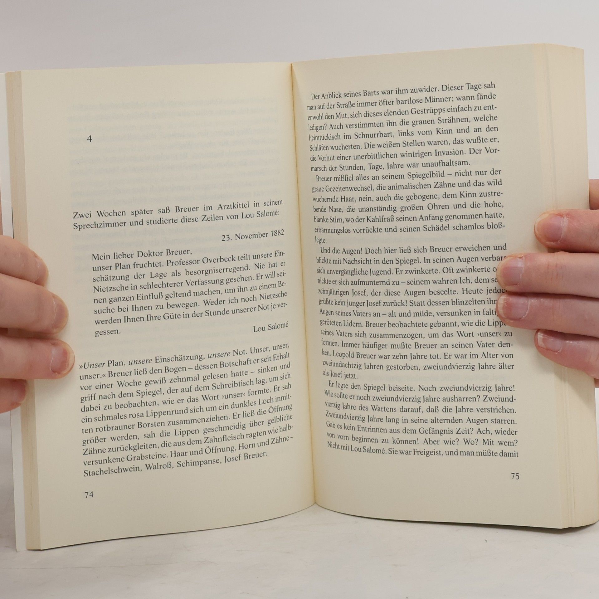 Irvin D. Yalom Und Nietzsche weinte