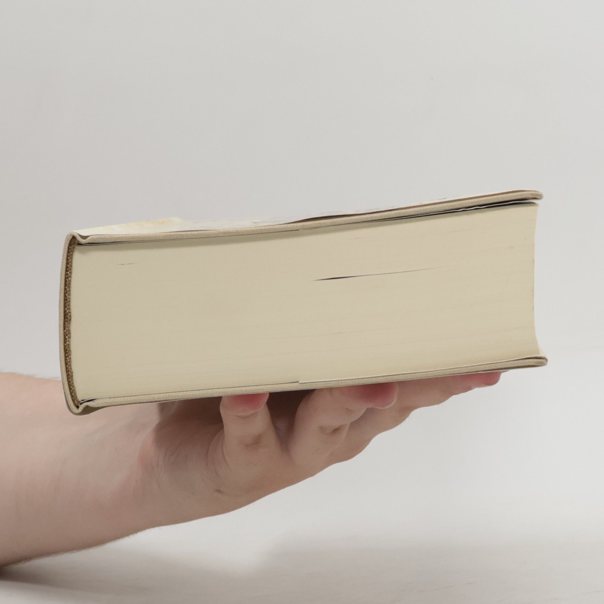 Ken Follett Das Fundament der Ewigkeit