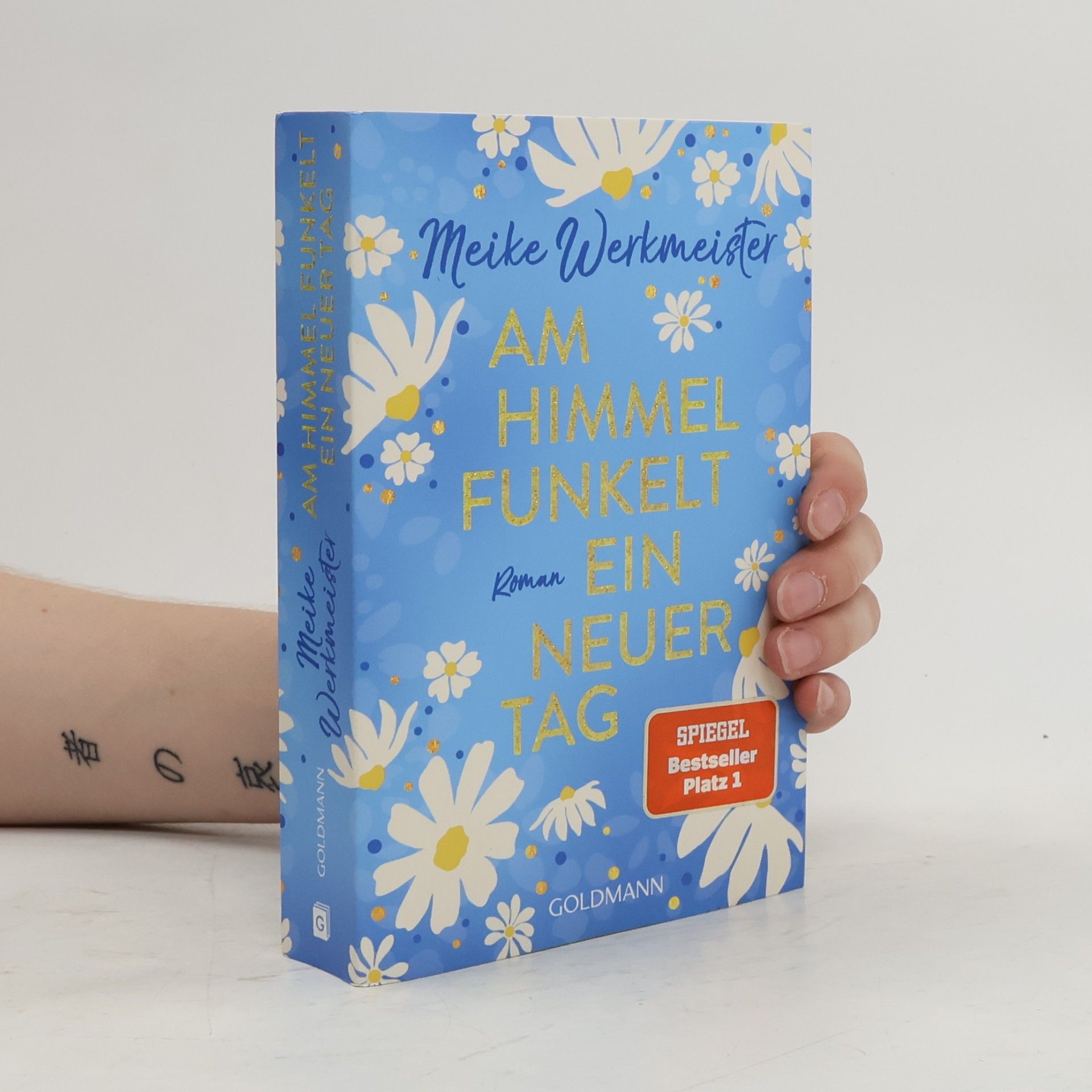 Meike Werkmeister Am Himmel funkelt ein neuer Tag