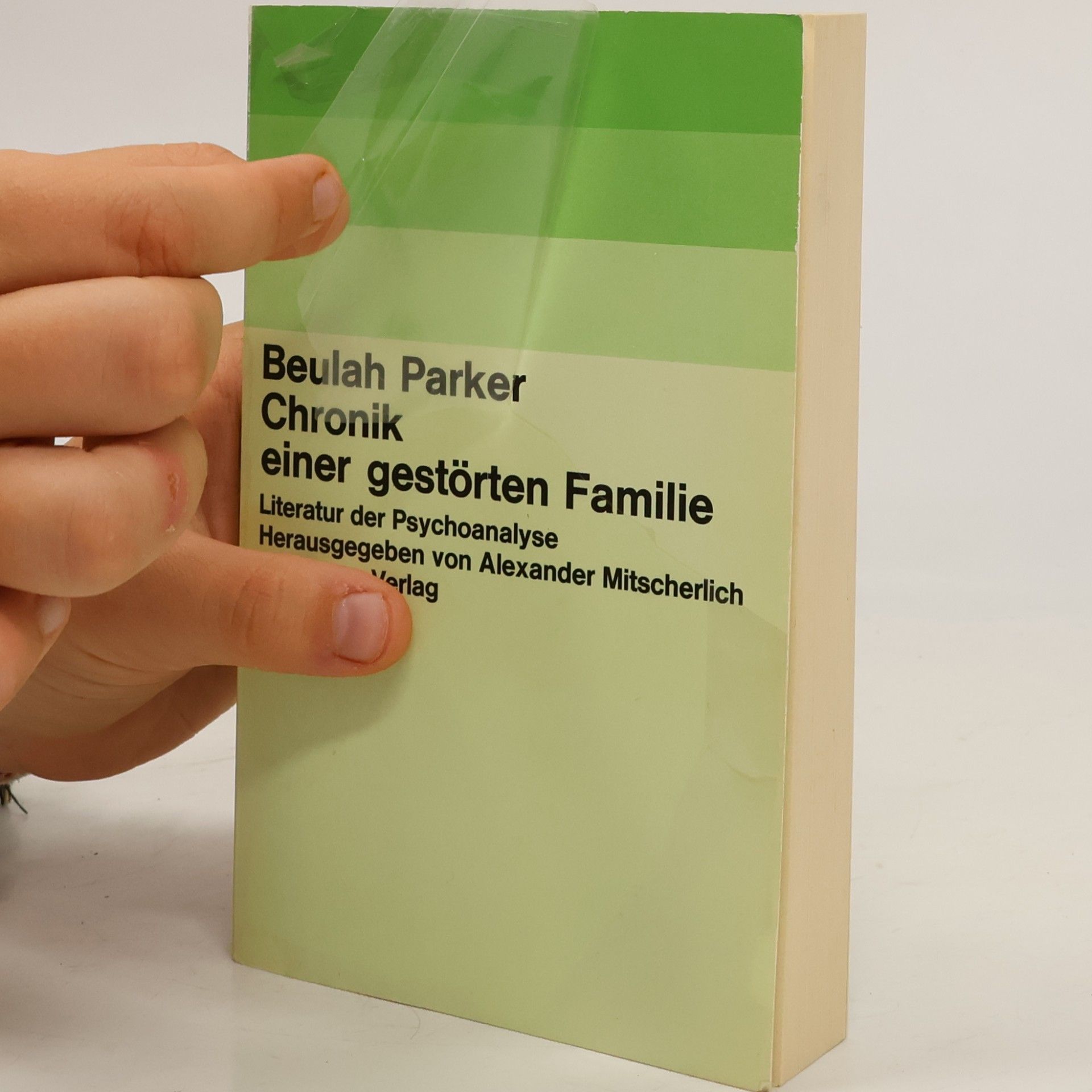 Beulah Parker Chronik einer gestörten Familie