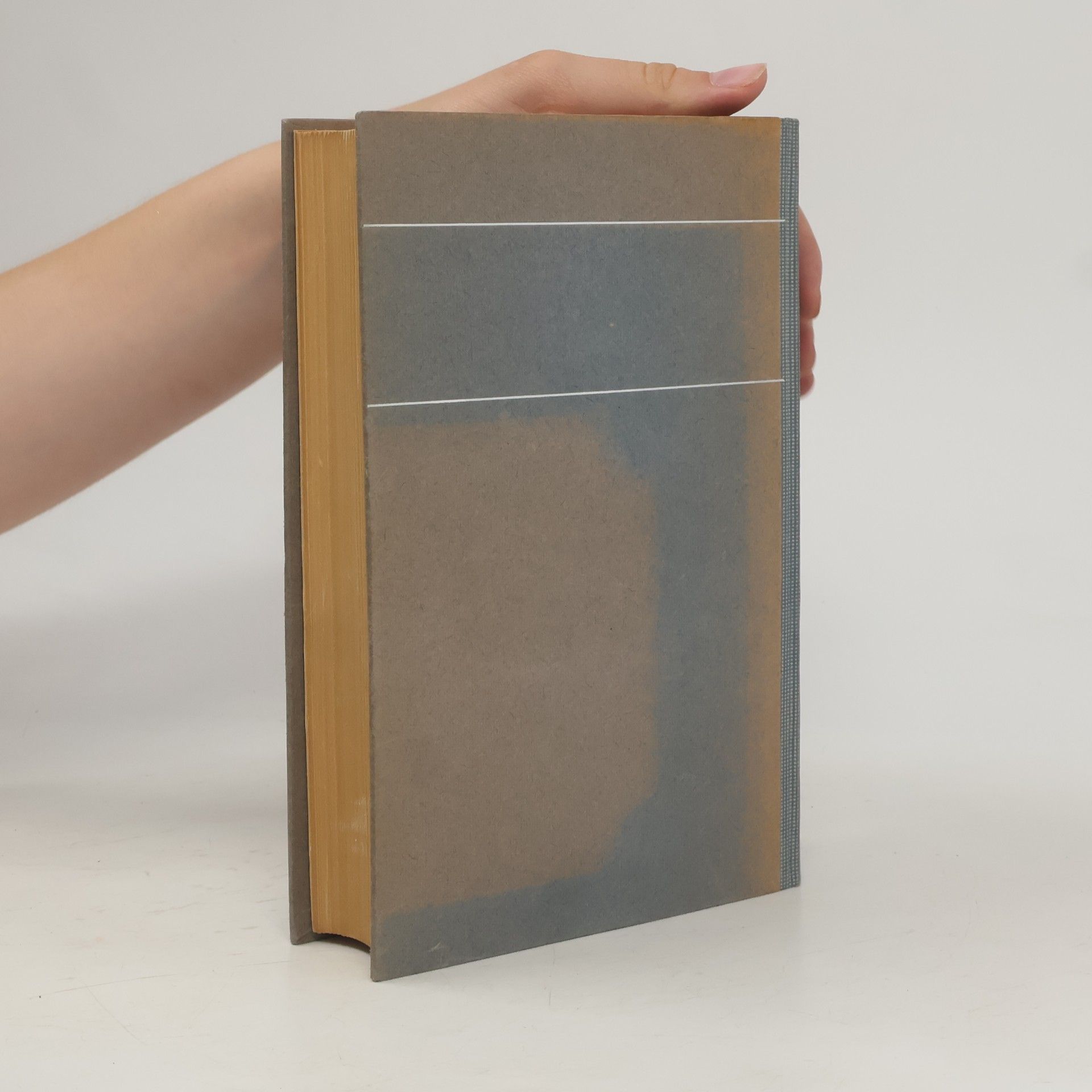 AA.VV. Basler Jahrbuch 1918