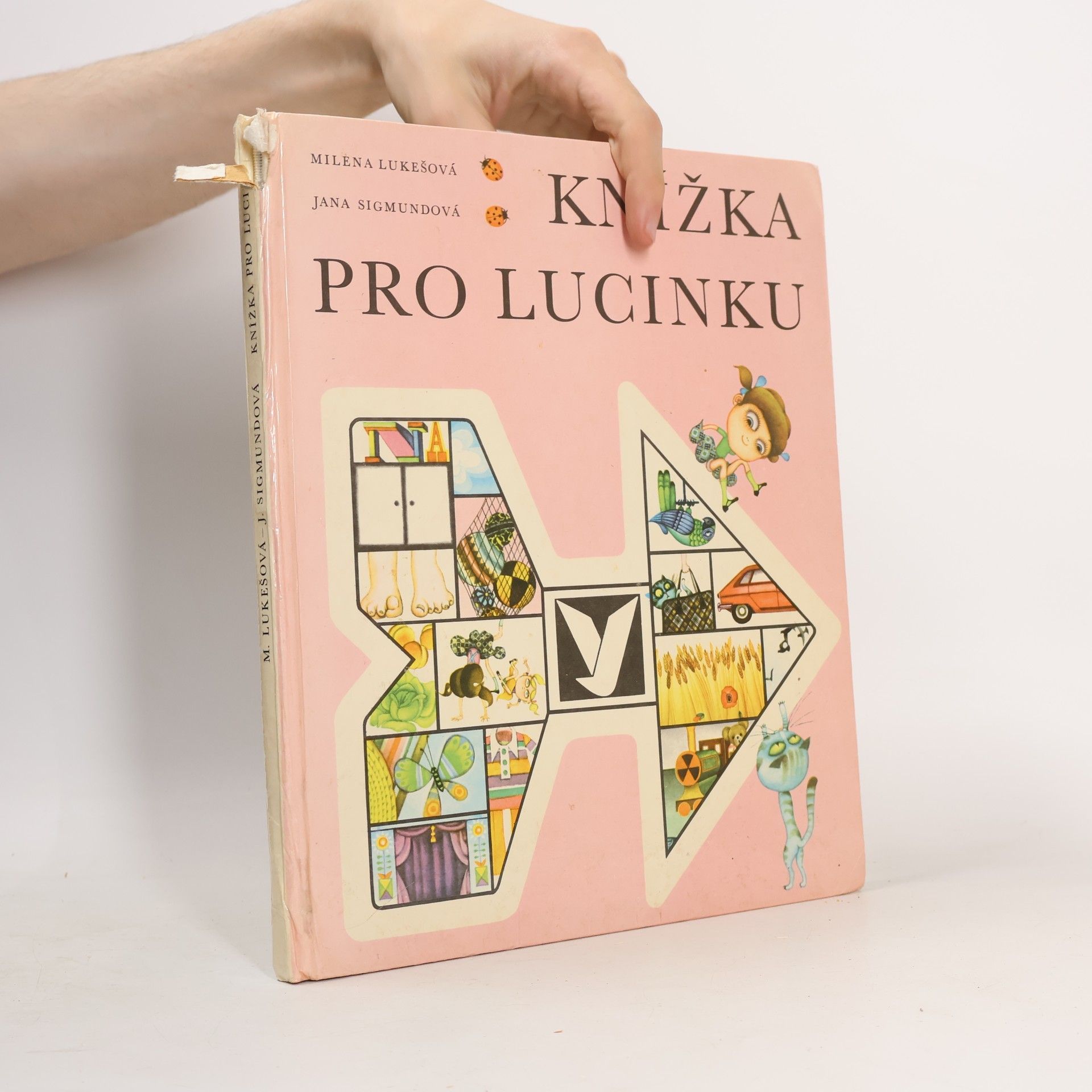 Jana Sigmundová Knížka pro Lucinku