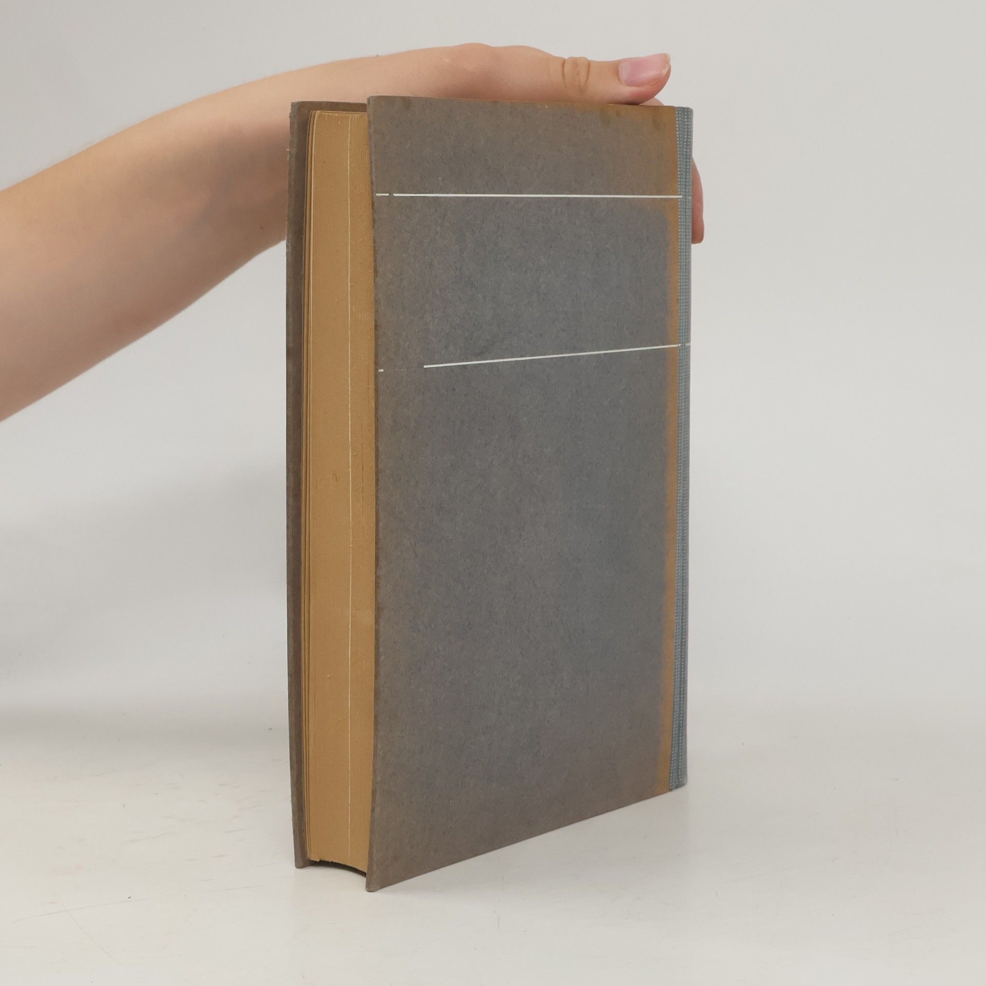 AA.VV. Basler Jahrbuch 1919