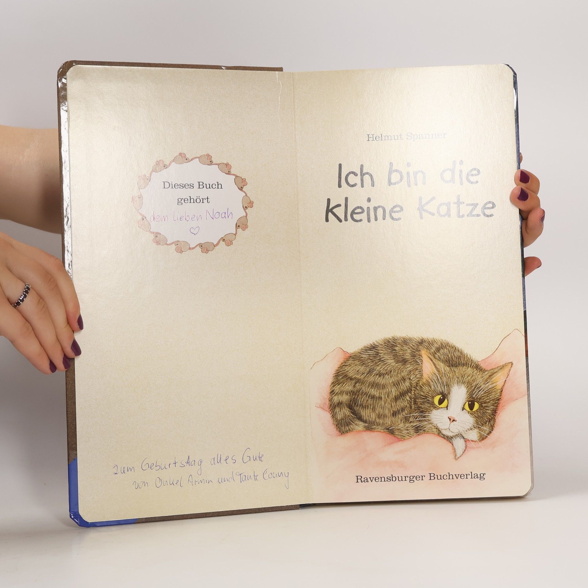 Helmut Spanner Ich bin die kleine Katze