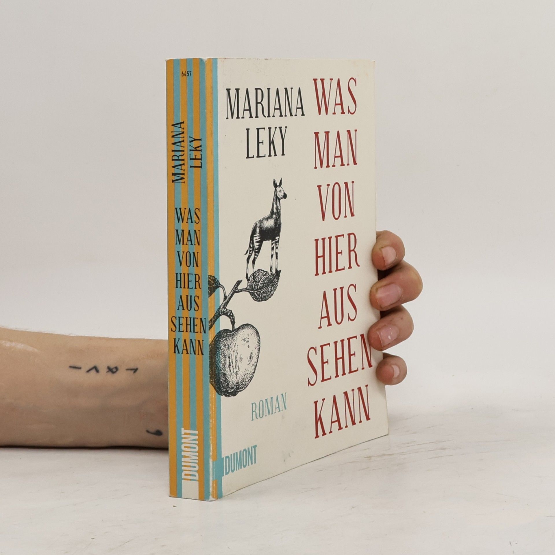Mariana Leky Was man von hier aus sehen kann