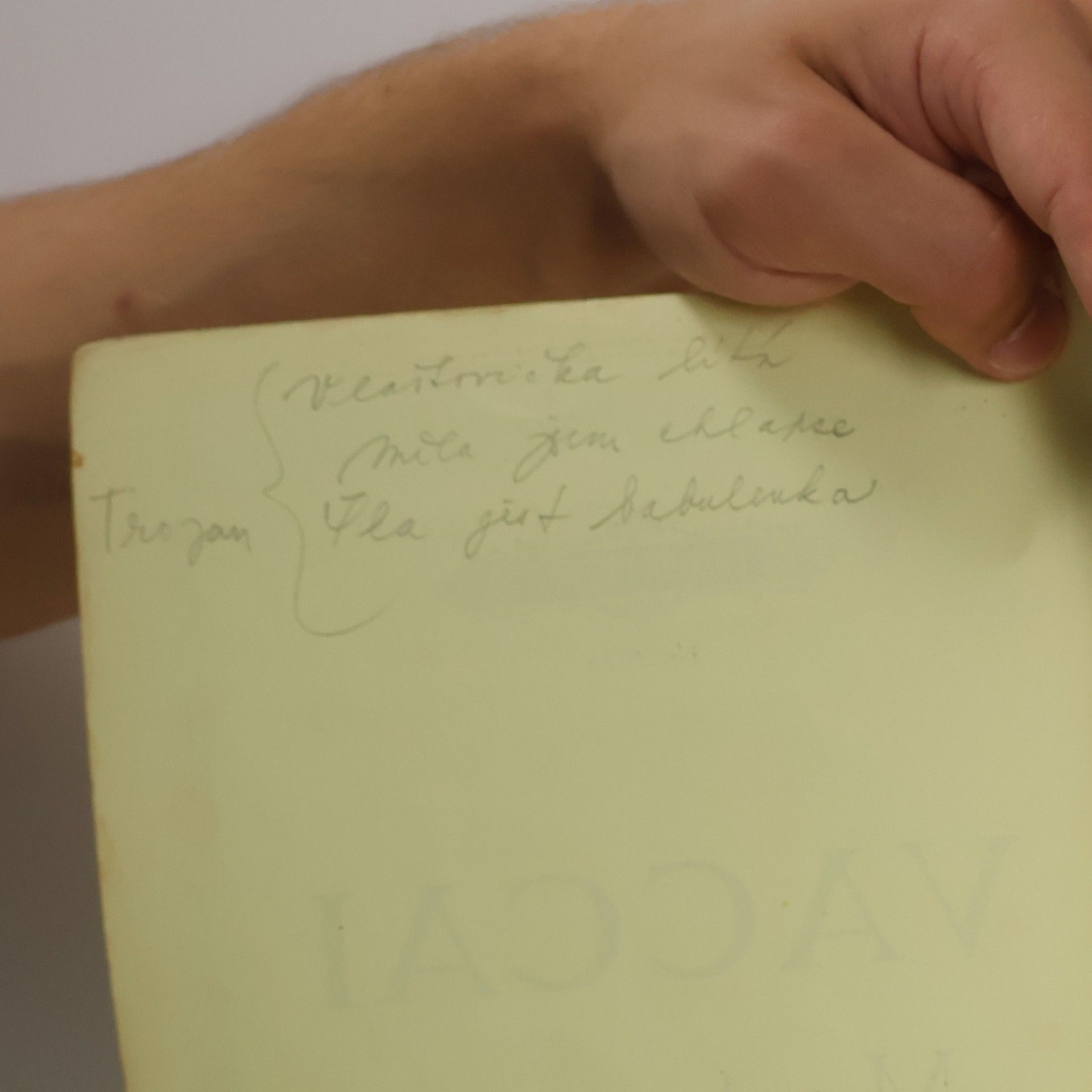 Autorenkollektiv Vaccai. Metodo pratico