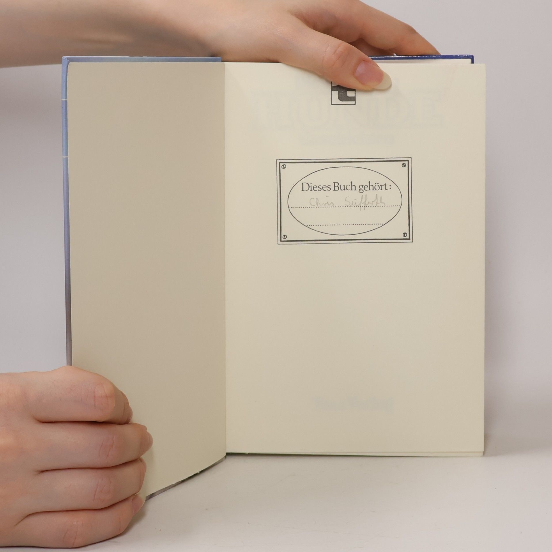 Autorenkollektiv Die schönsten Hunde-Geschichten
