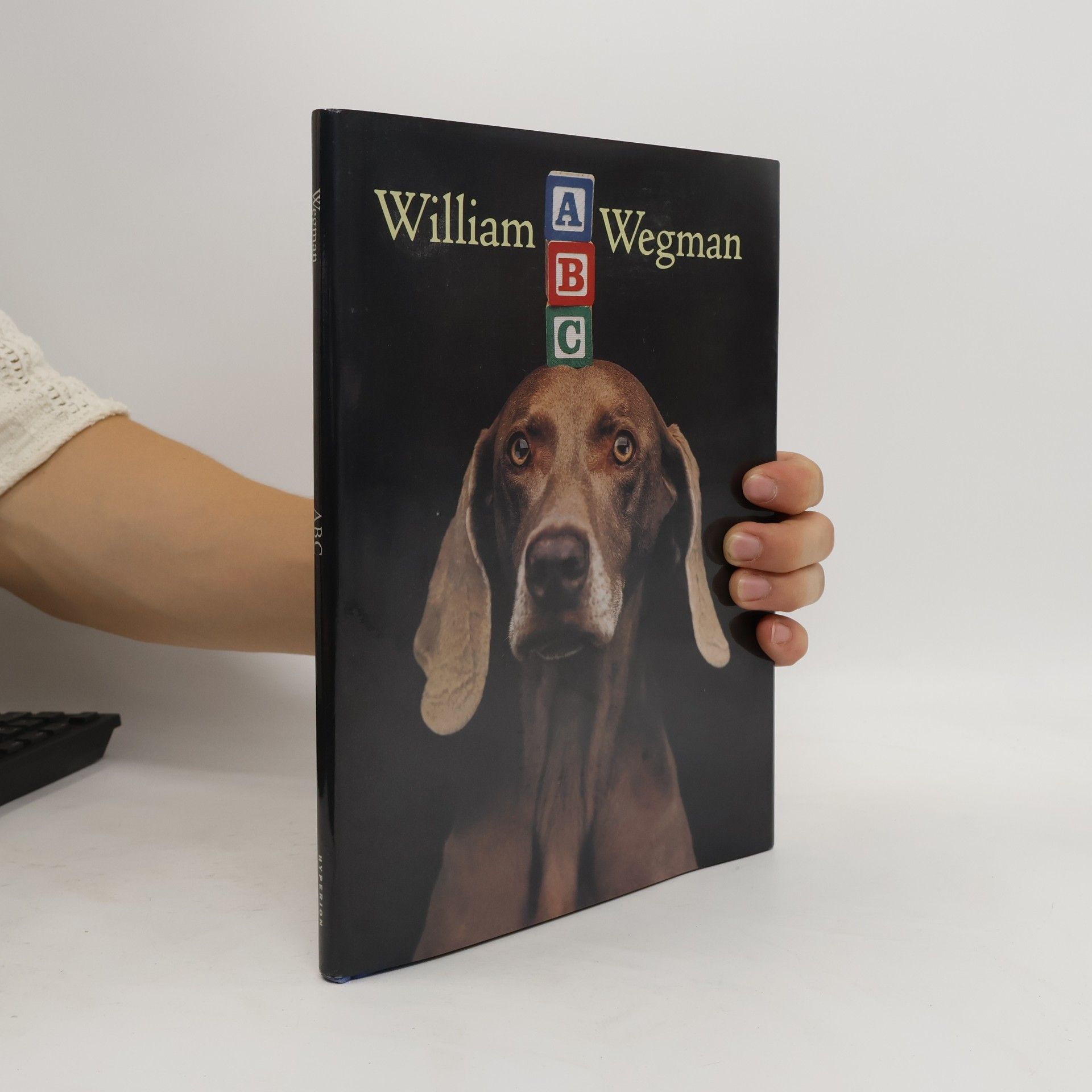 William Wegman ABC