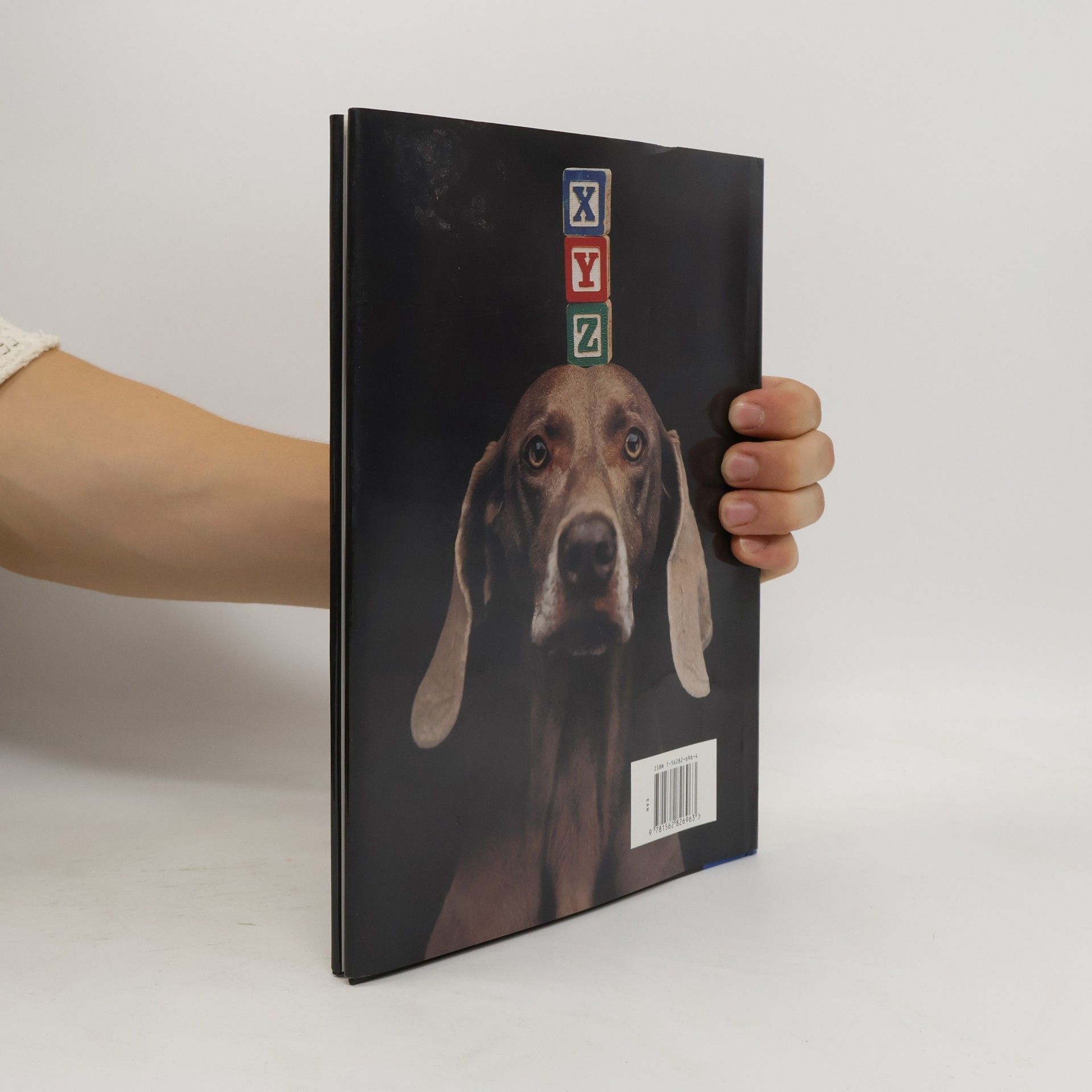 William Wegman ABC