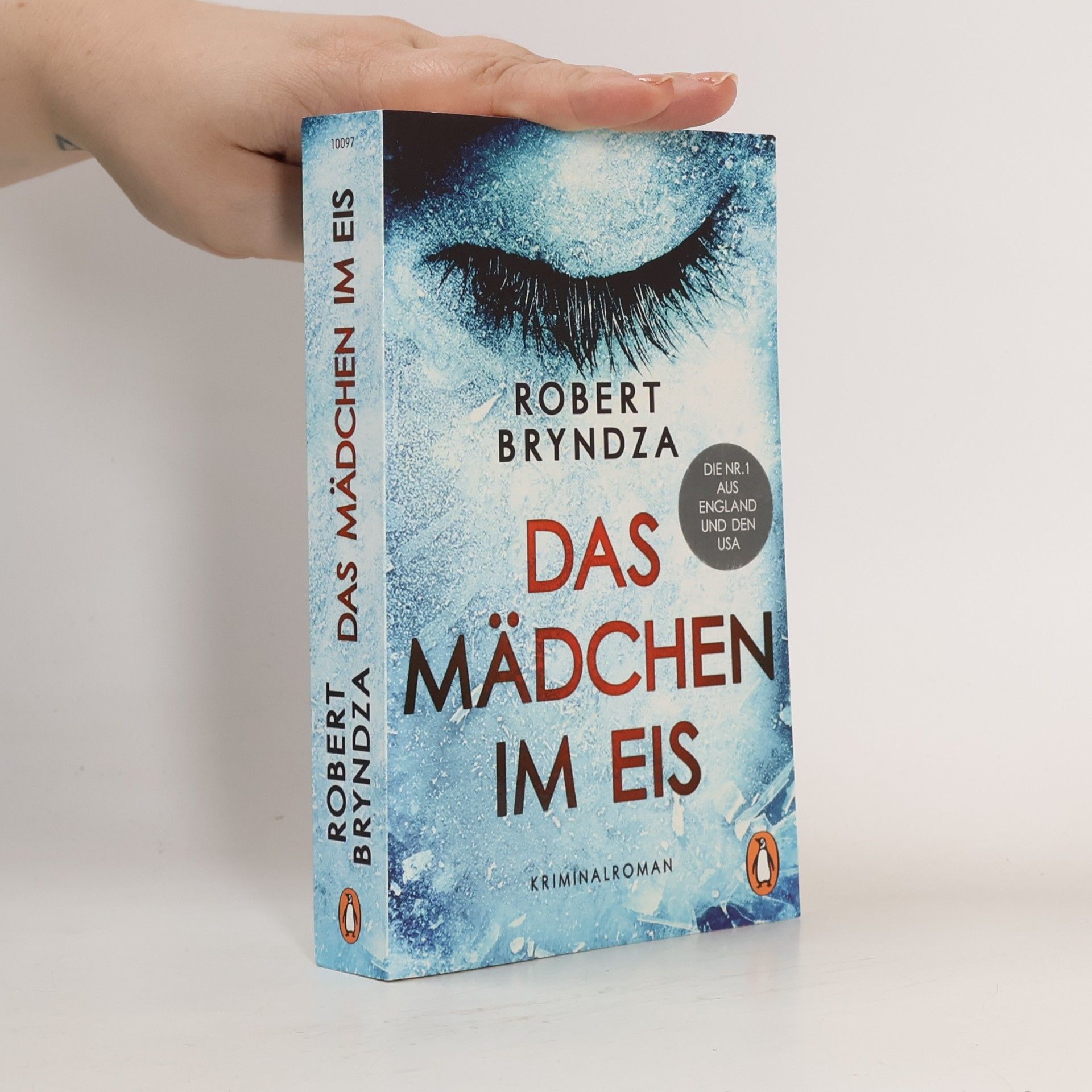 Robert Bryndza Das mädchen im eis