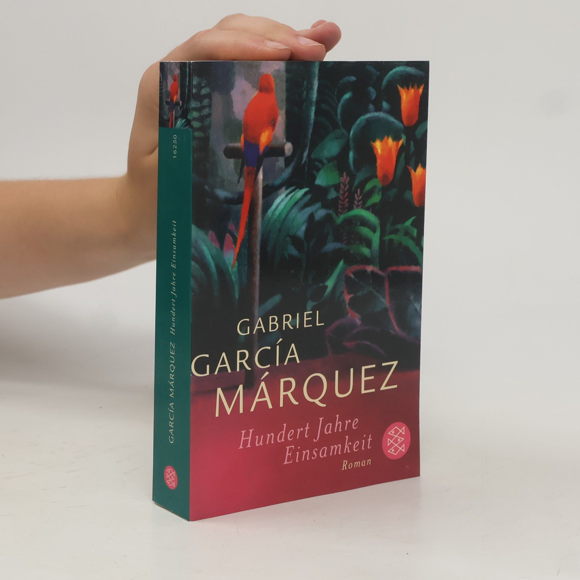 Gabriel García Márquez Hundert Jahre Einsamkeit