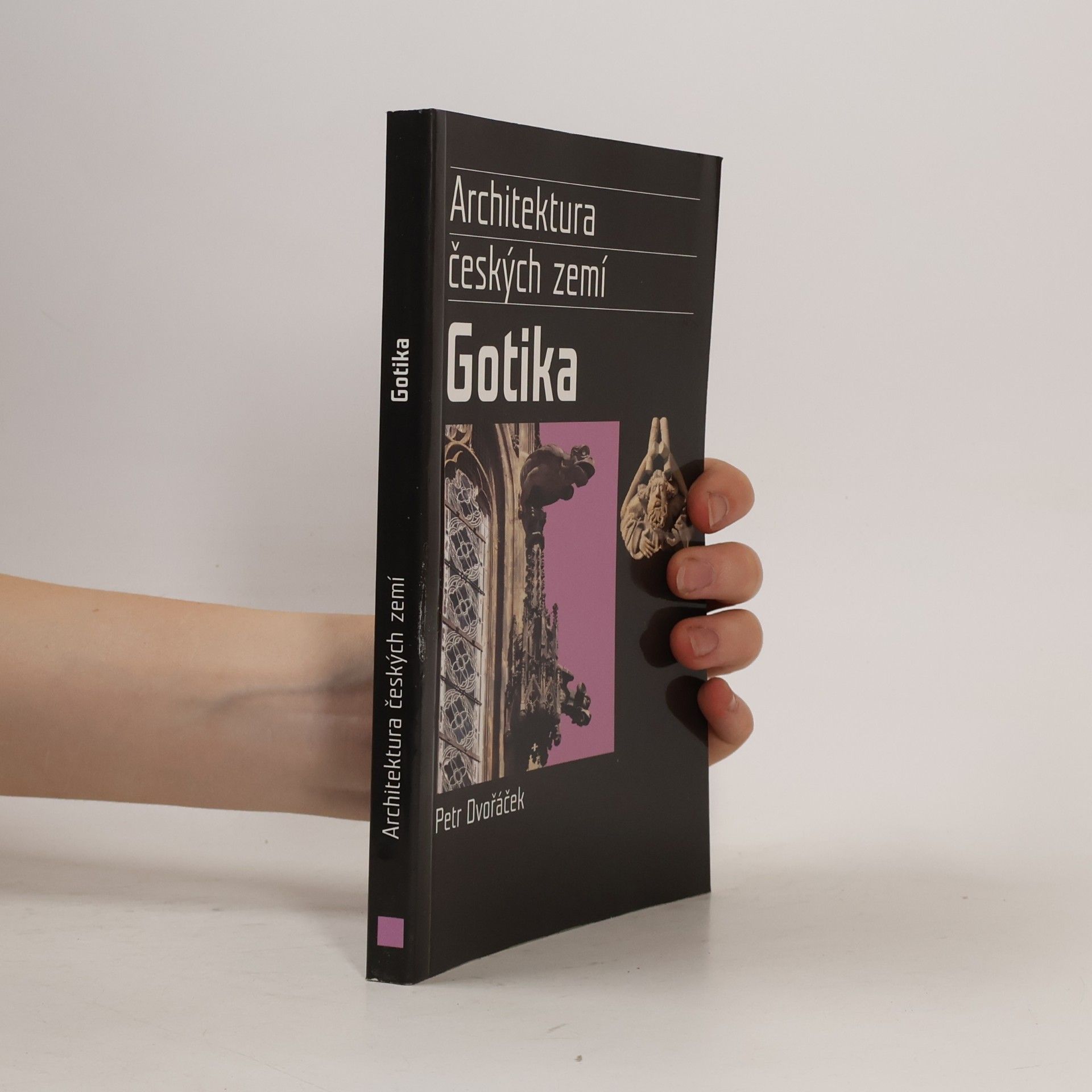 Petr Dvořáček Gotika. Architektura českých zemí
