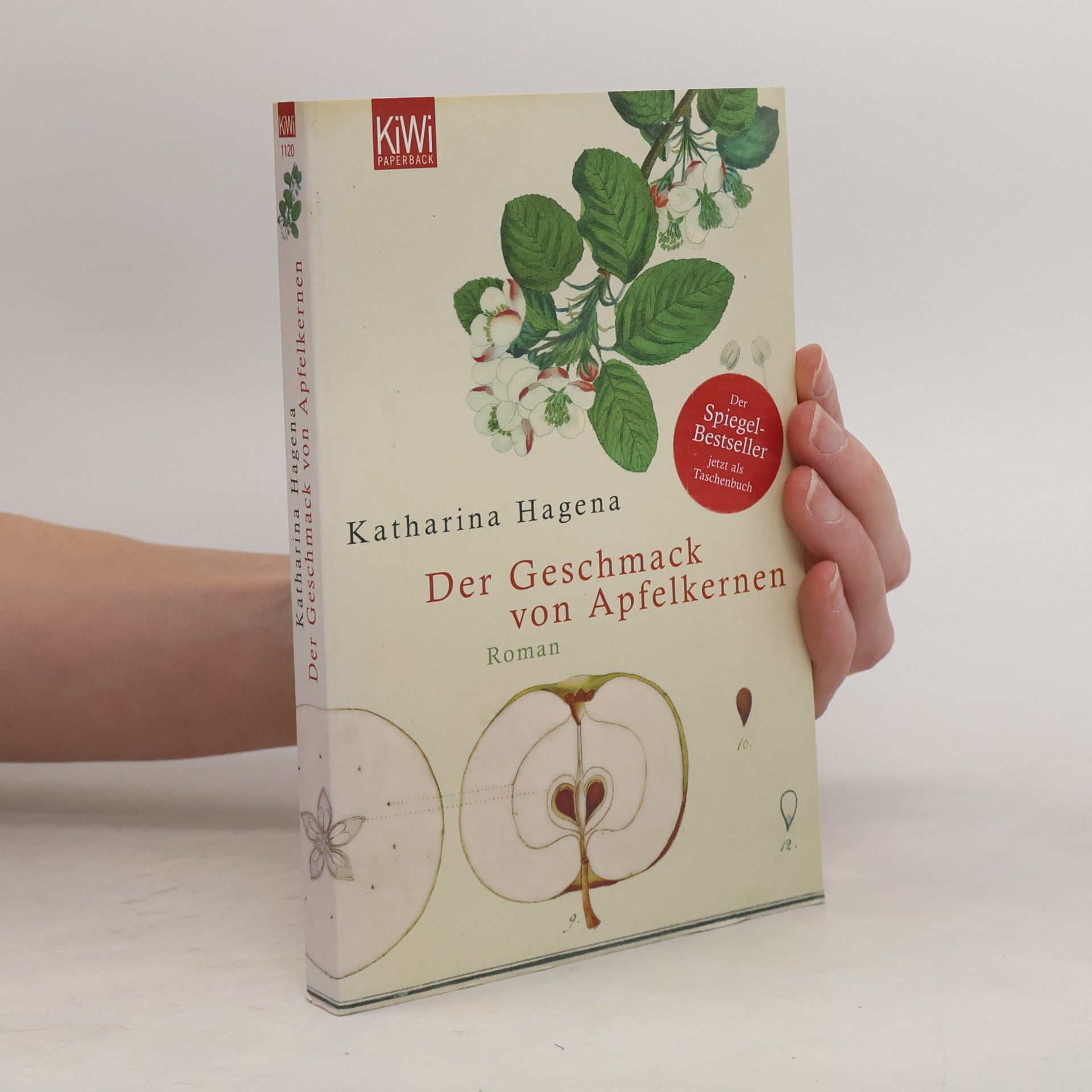 Katharina Hagena Der Geschmack von Apfelkernen