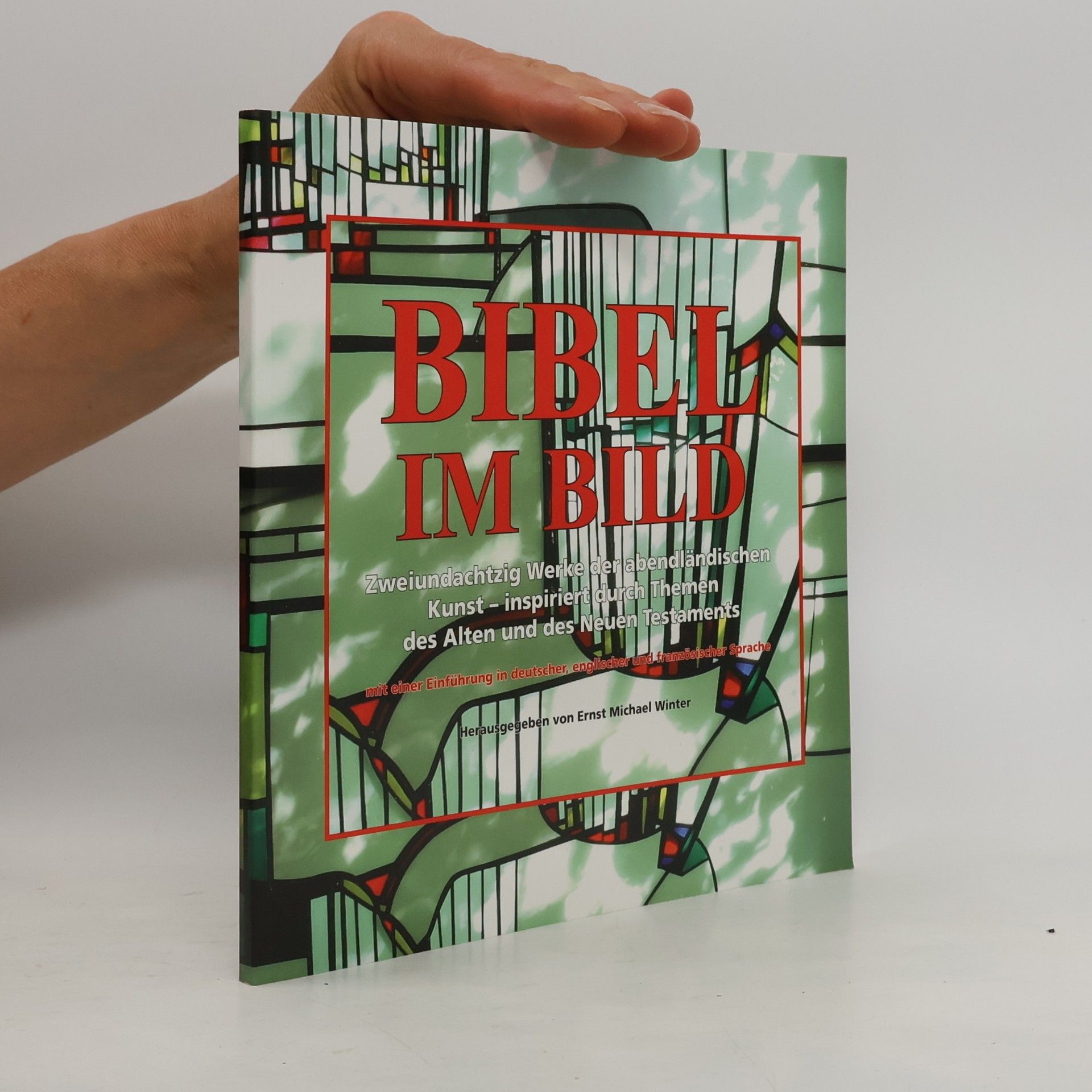 Autorenkollektiv Bibel im Bild