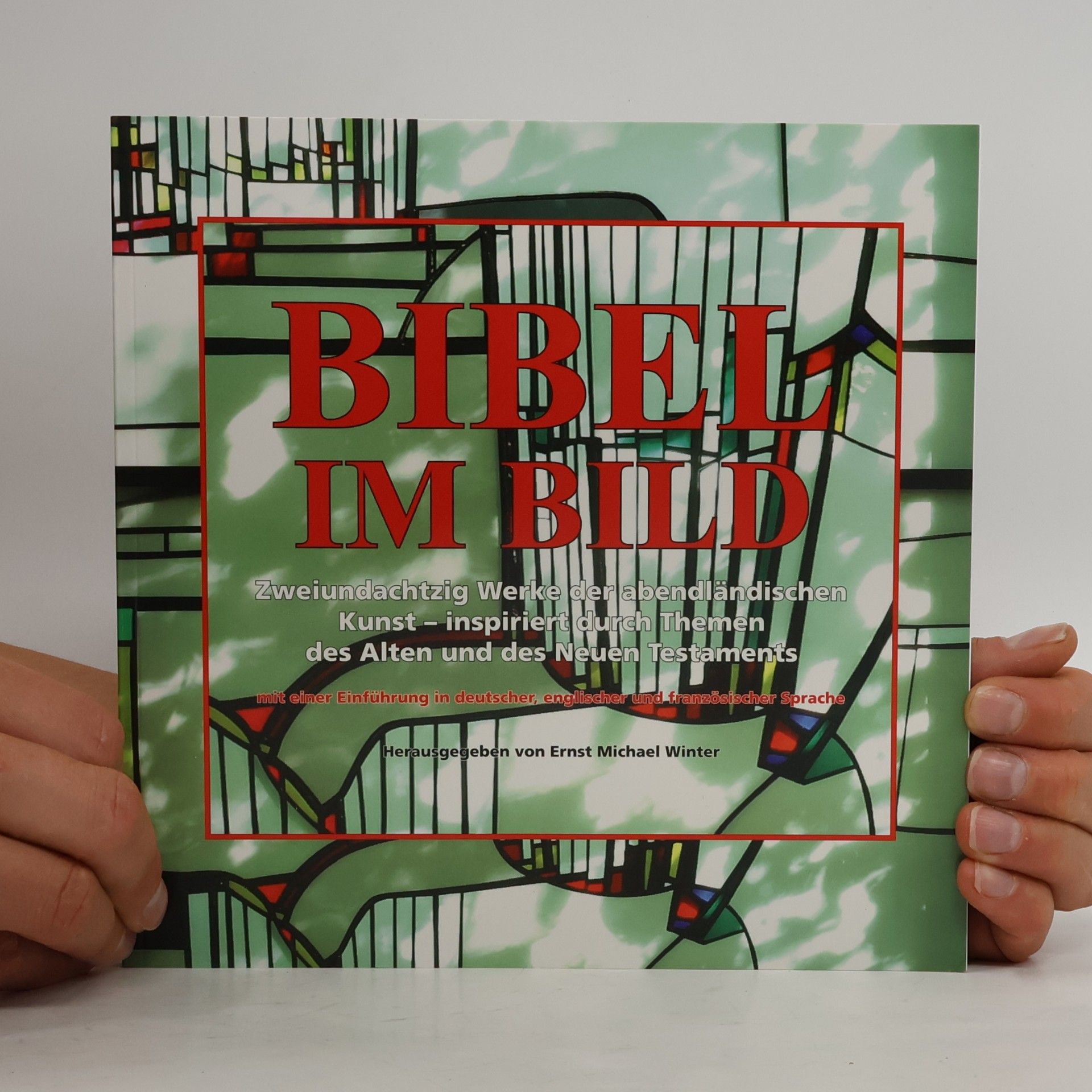 Autorenkollektiv Bibel im Bild