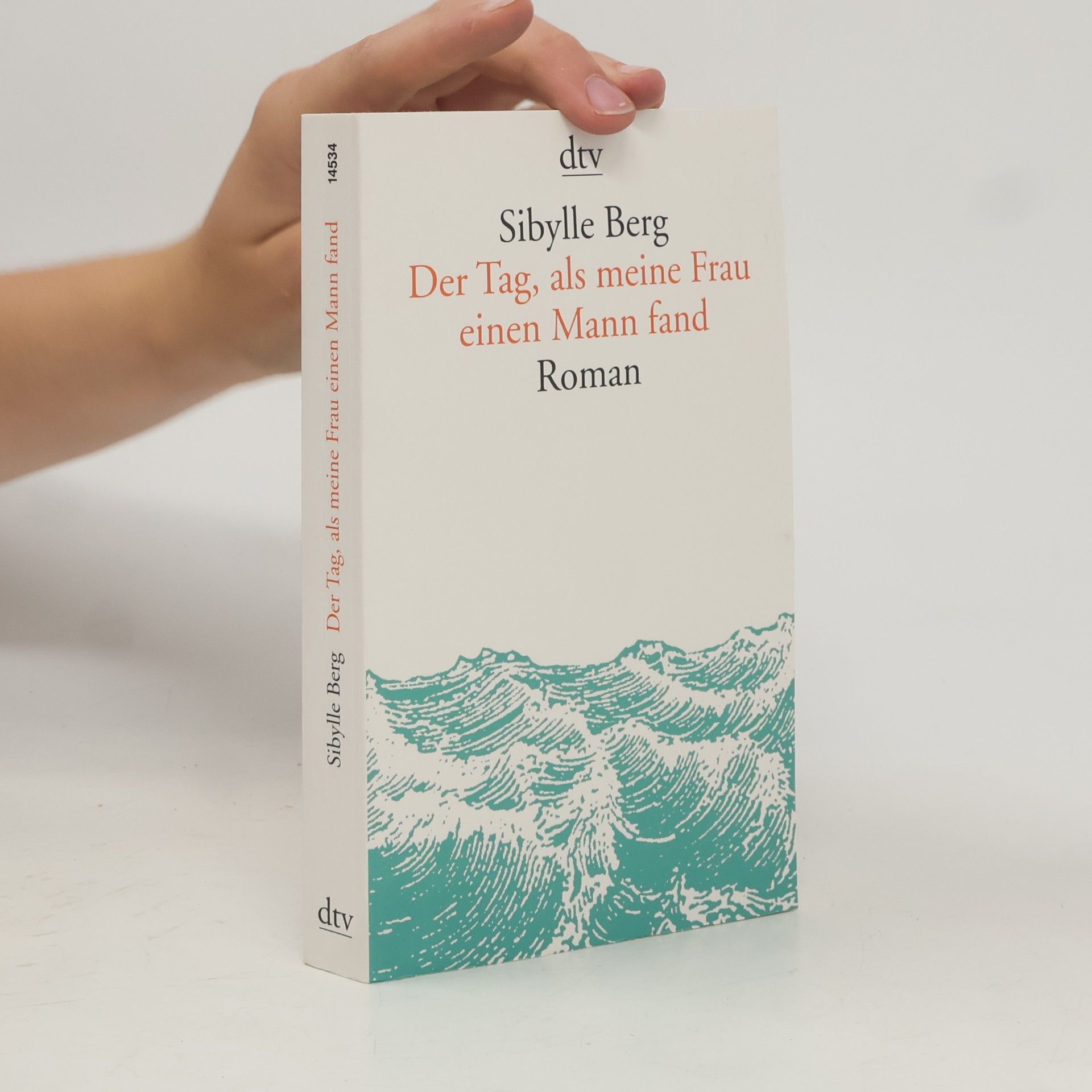 Sibylle Berg Der Tag, als meine Frau einen Mann fand