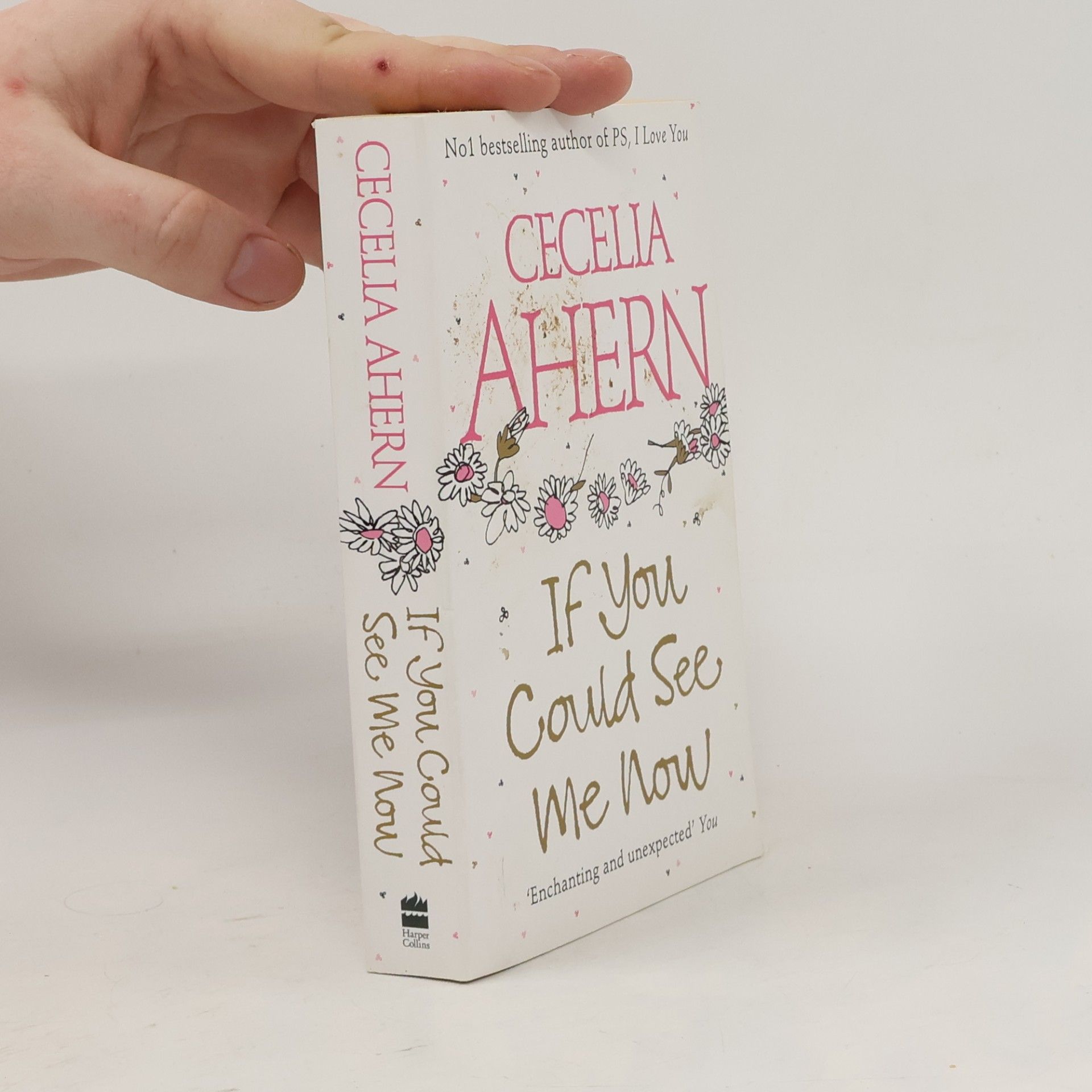 Cecelia Ahern If You Could See Me Now