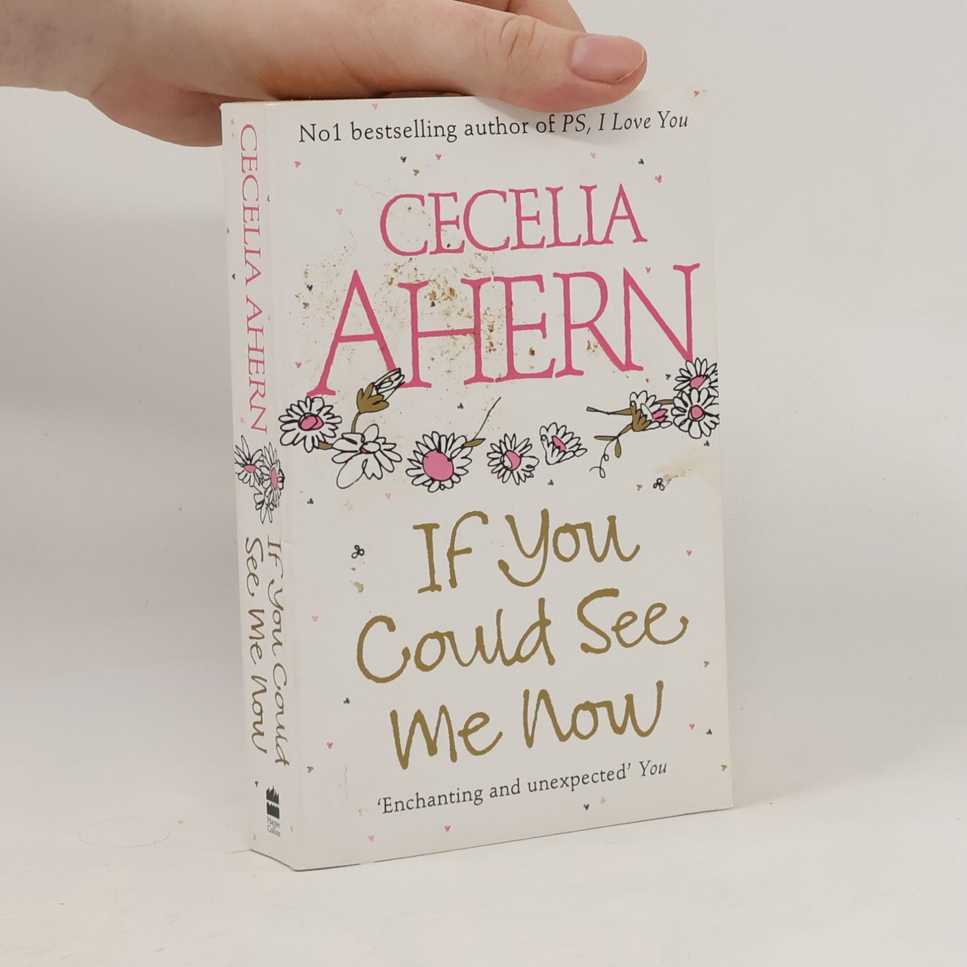 Cecelia Ahern If You Could See Me Now