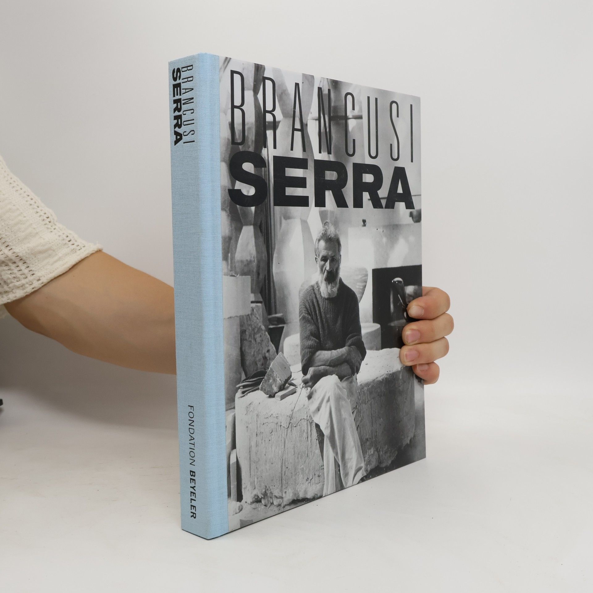 Kolektiv autorů Serra Brancusi